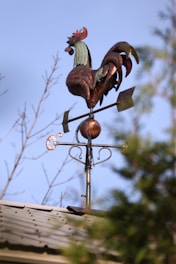 a rooster weather vane on top of a roof