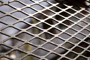 A close-up view of a metallic mesh with a diamond-shaped lattice pattern. The metal appears slightly weathered, and the light reflects off its slightly rusted surface, highlighting some edges and creating shadows.