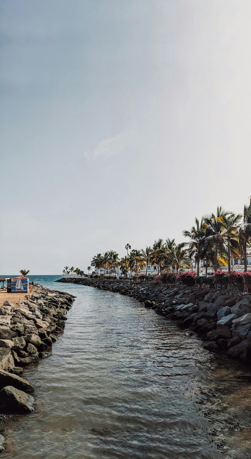 a body of water next to a beach with palm trees