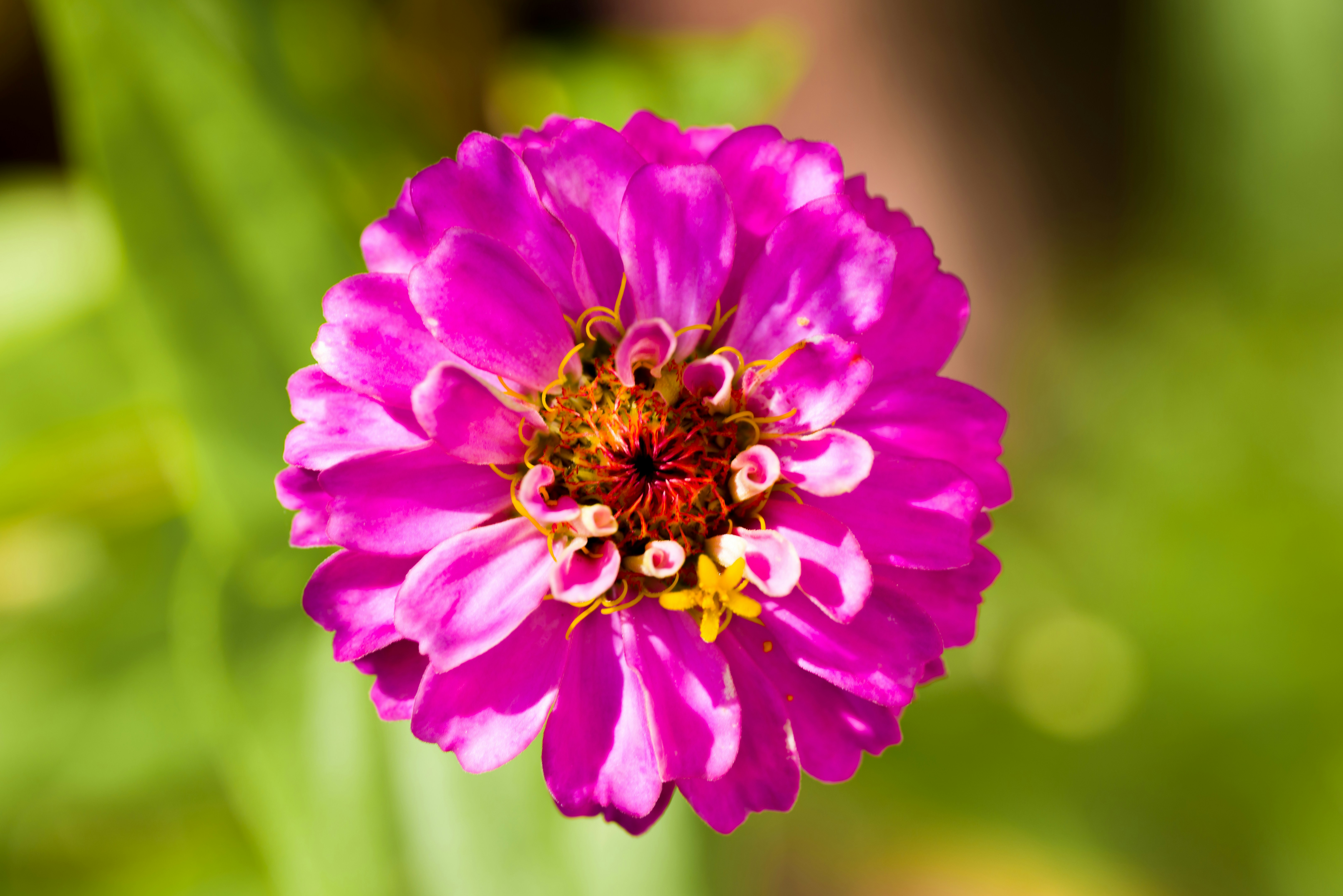 Photo by georgeiermann