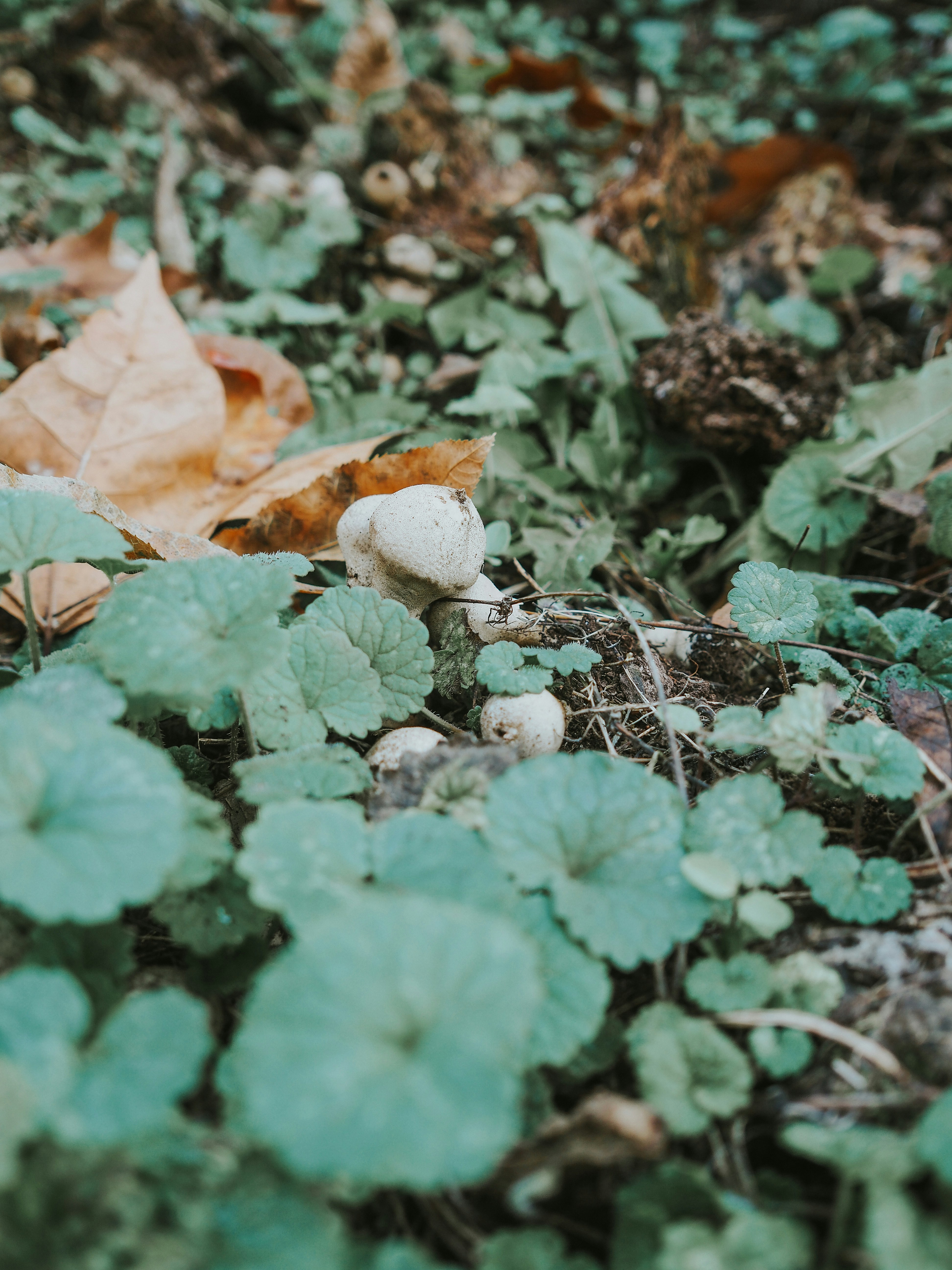 Photo by fieldworkframes