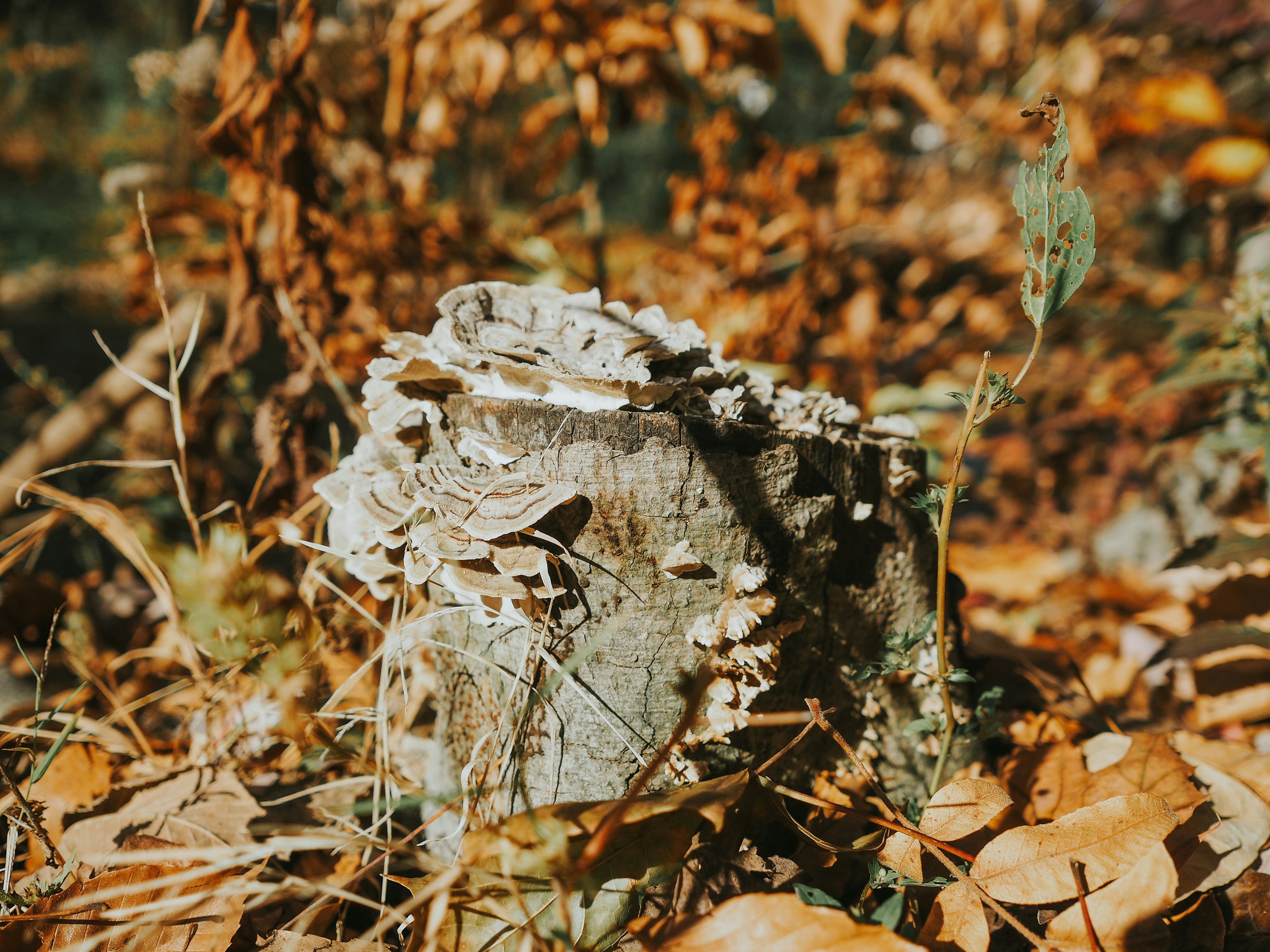 Photo by fieldworkframes