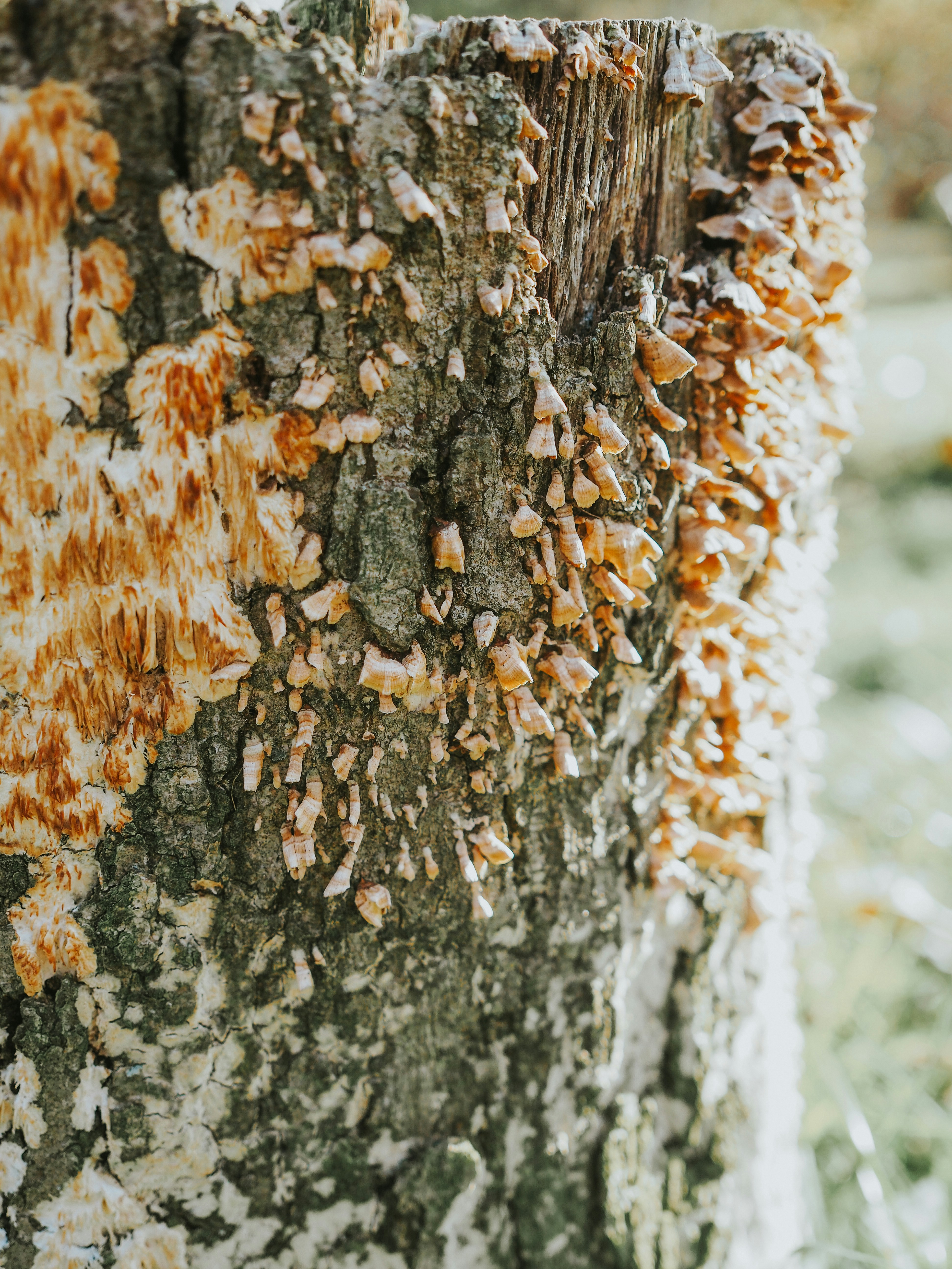 Photo by fieldworkframes