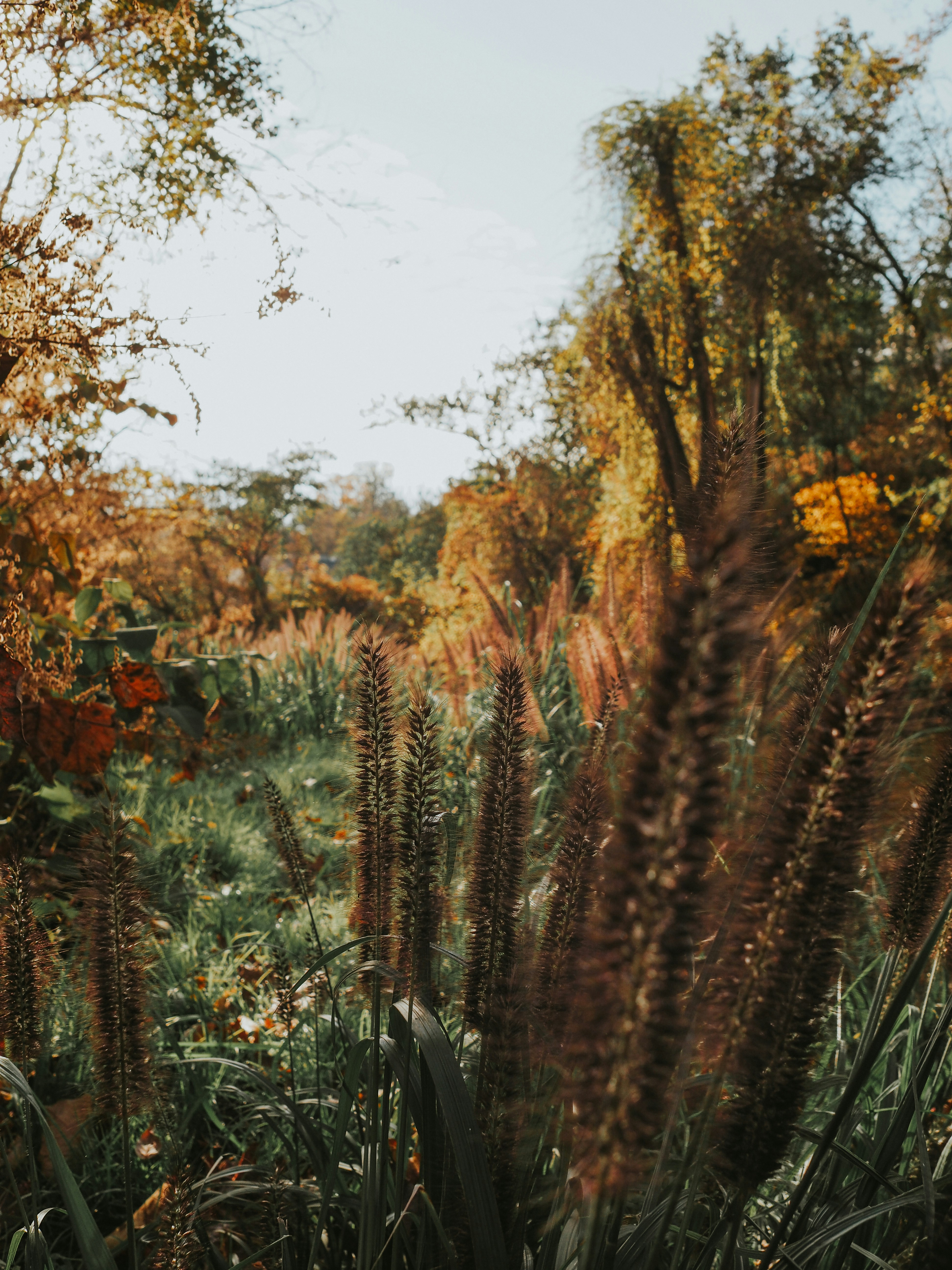 Photo by fieldworkframes