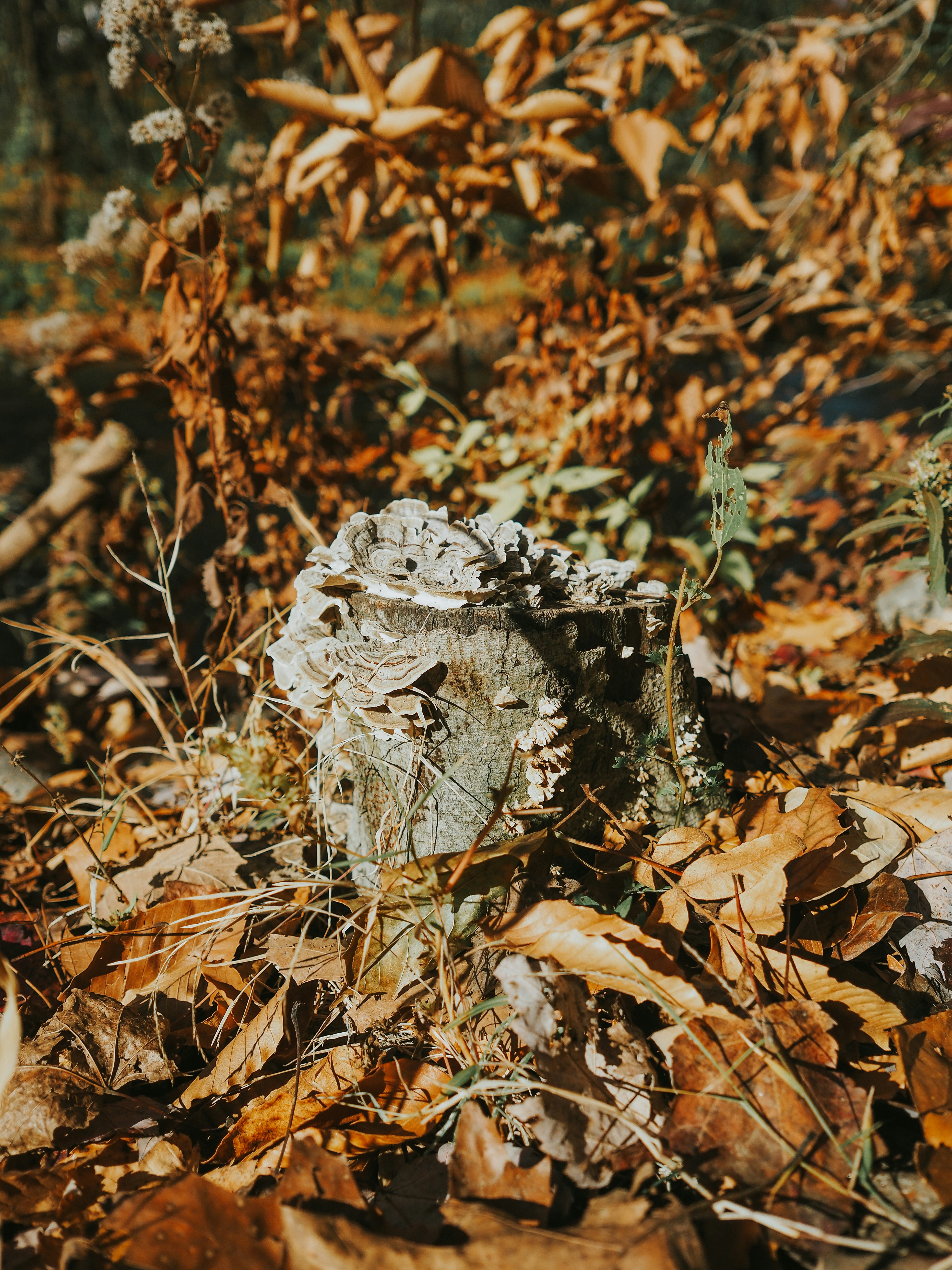 Photo by fieldworkframes