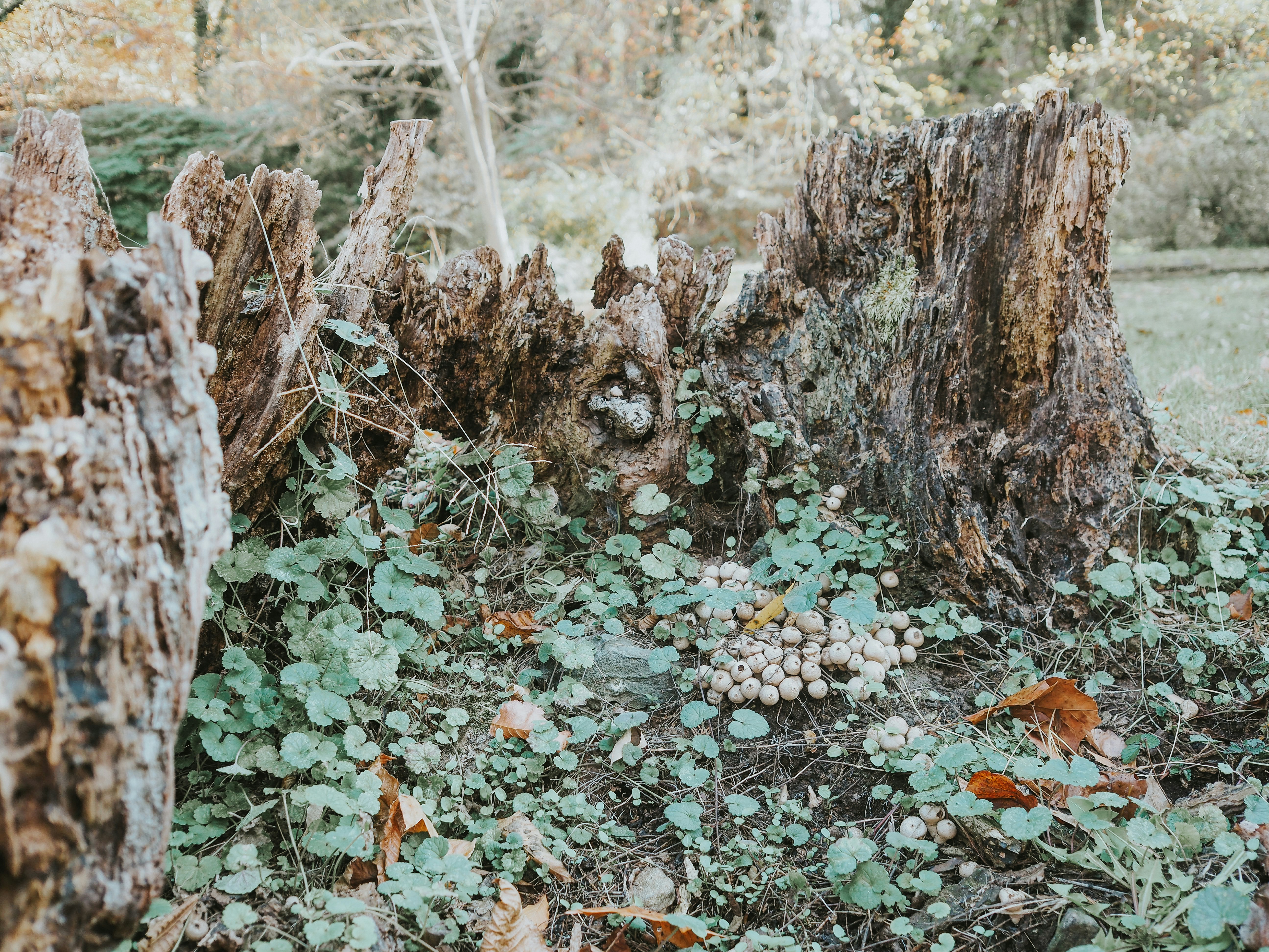 Photo by fieldworkframes