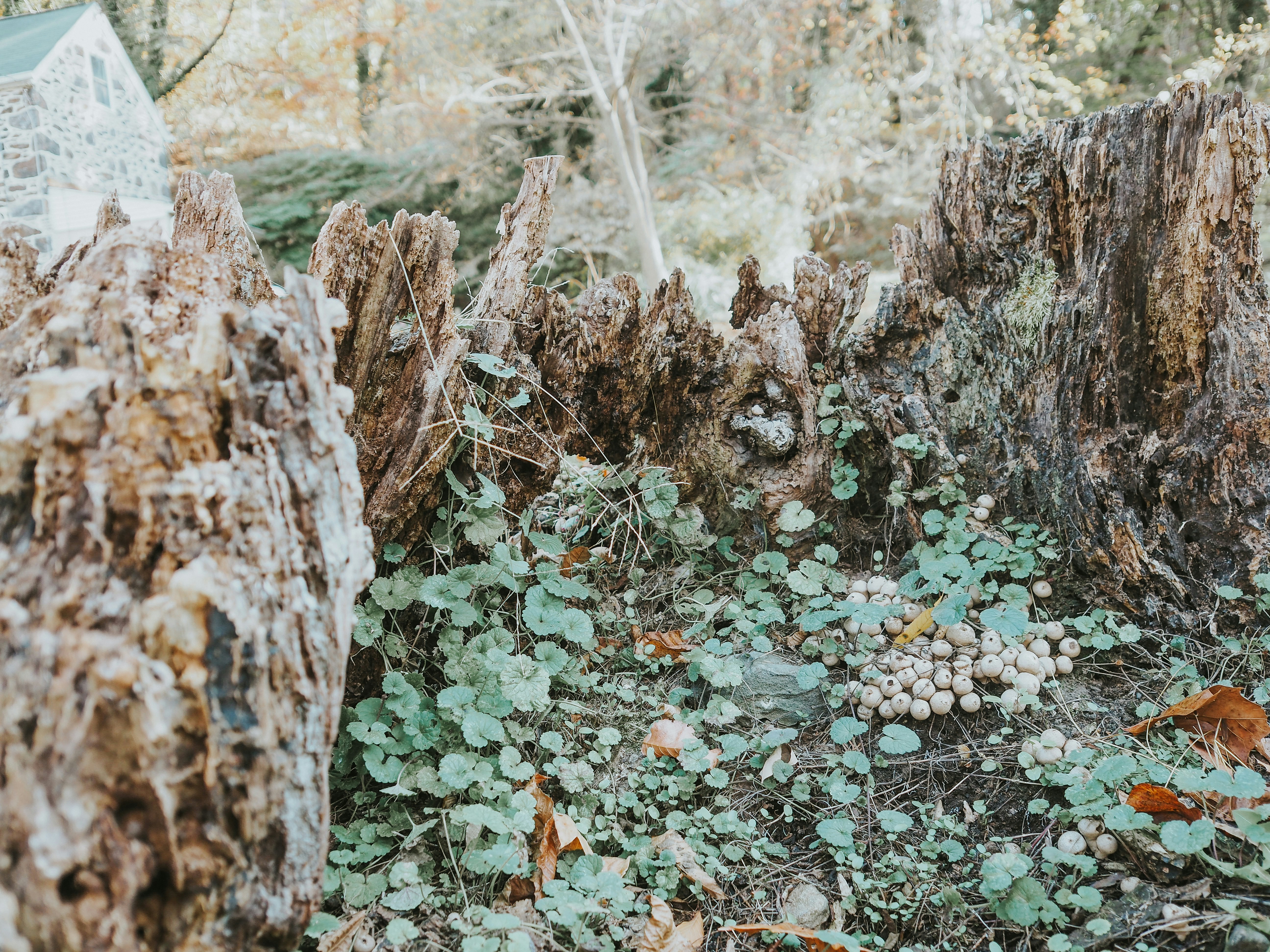 Photo by fieldworkframes