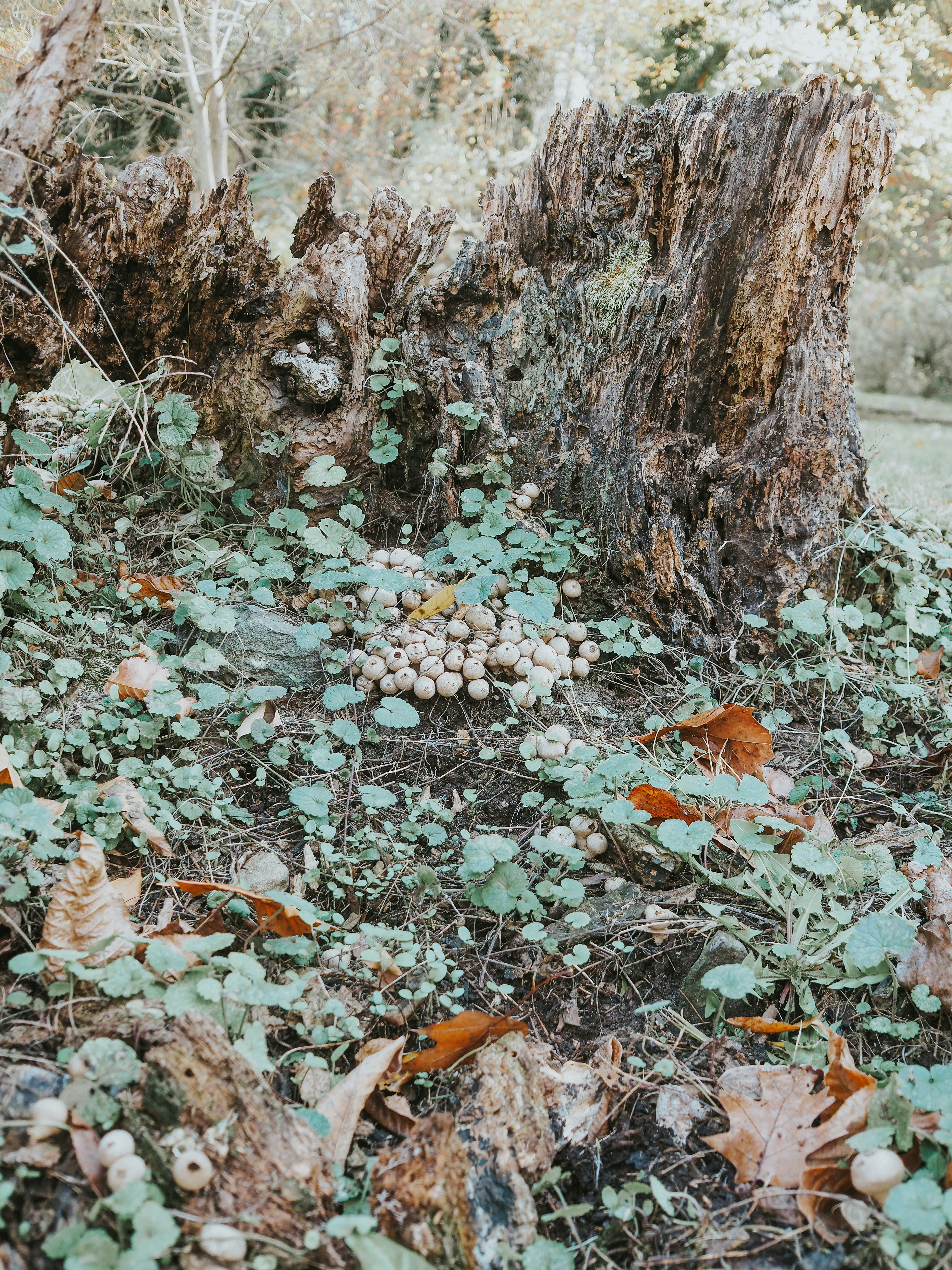 Photo by fieldworkframes