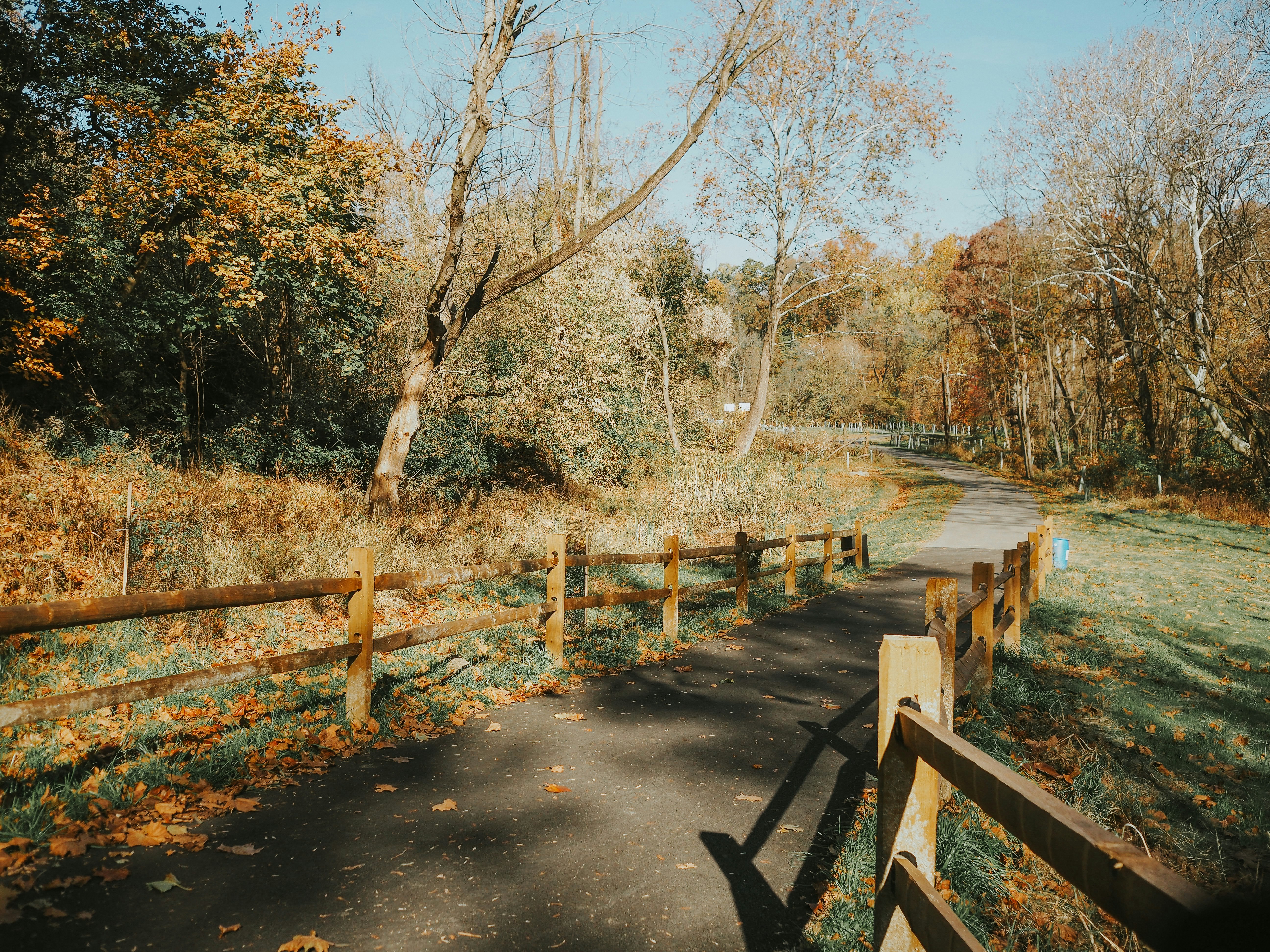 Photo by fieldworkframes