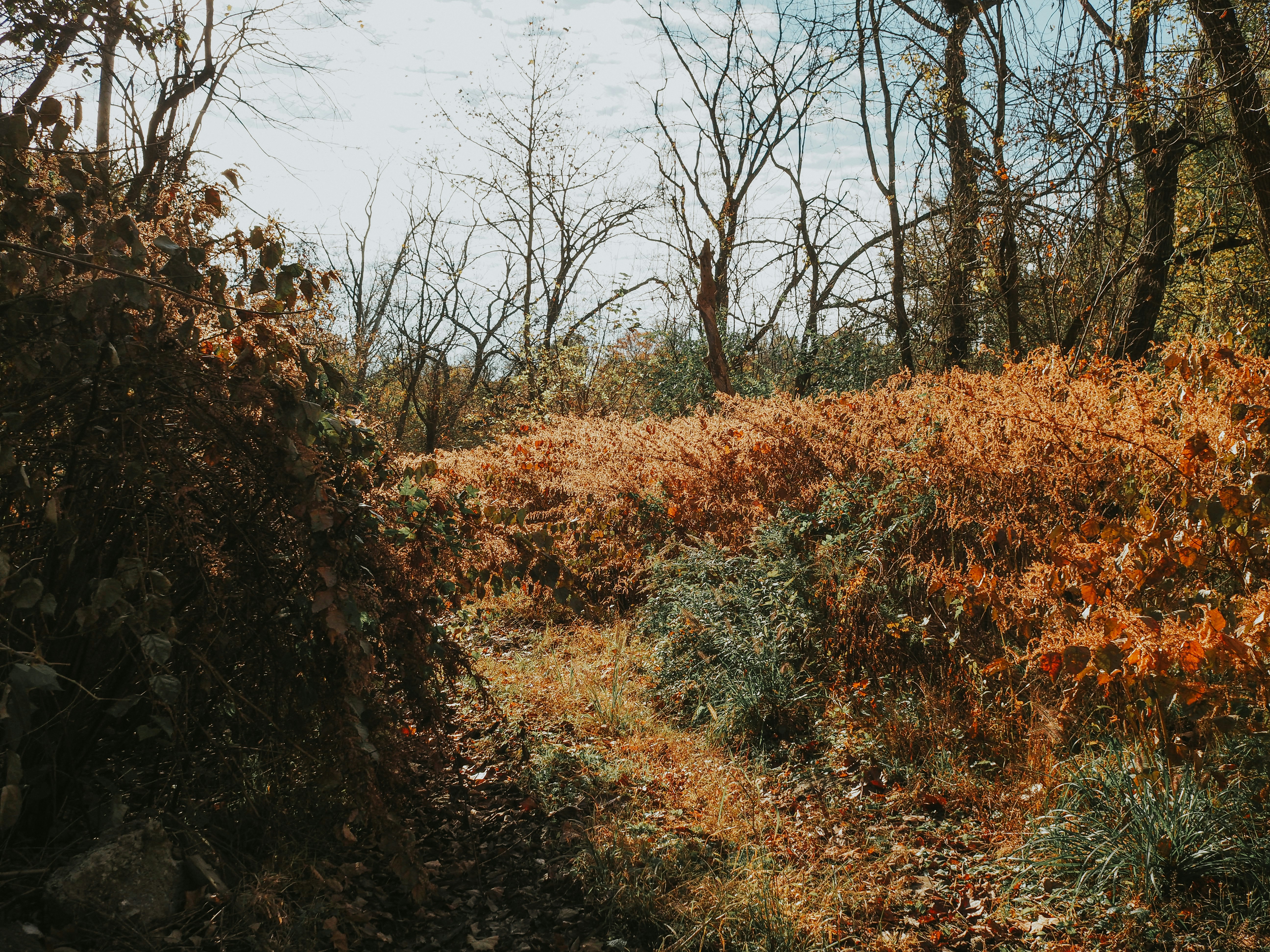 Photo by fieldworkframes