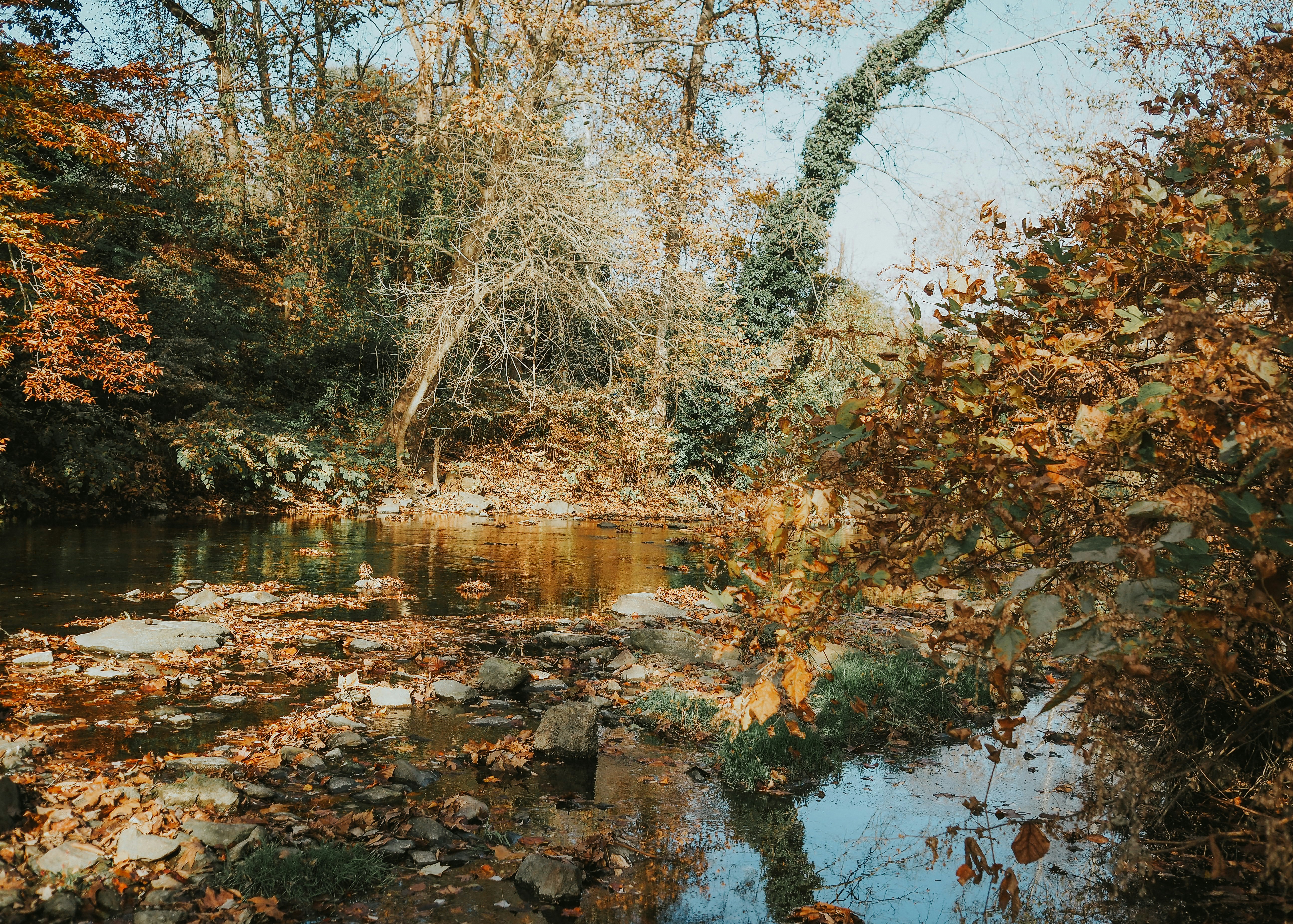 Photo by fieldworkframes