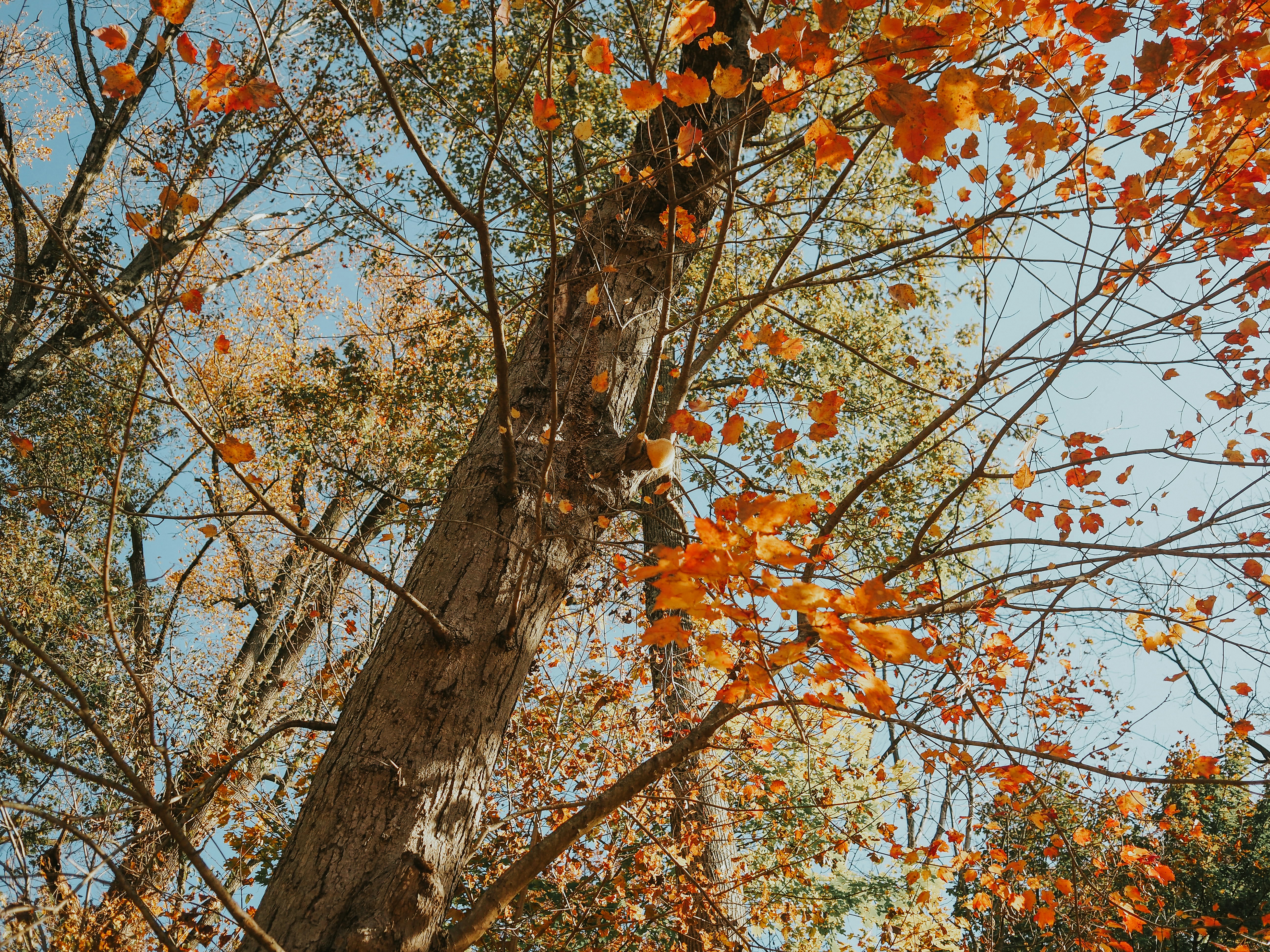 Photo by fieldworkframes