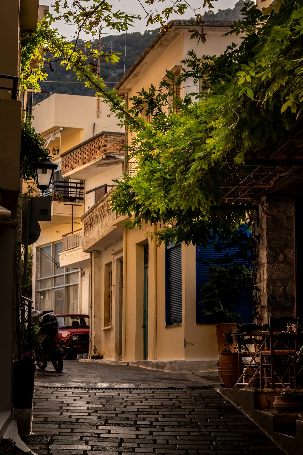 a cobblestone street lined with buildings and trees