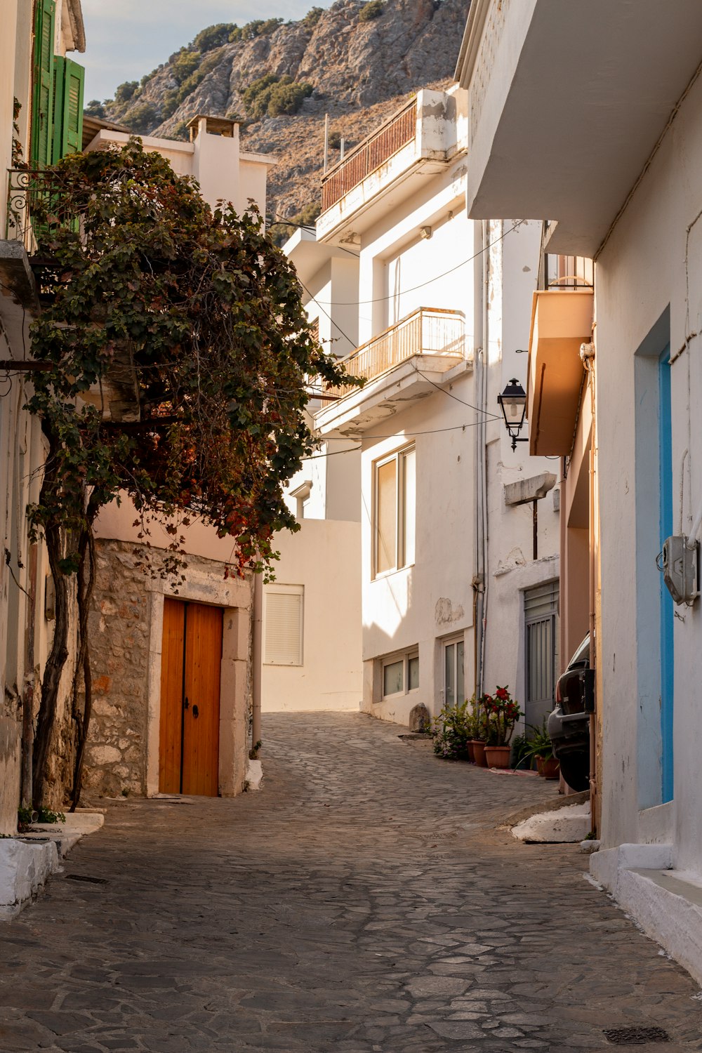 a cobblestone street in a small town