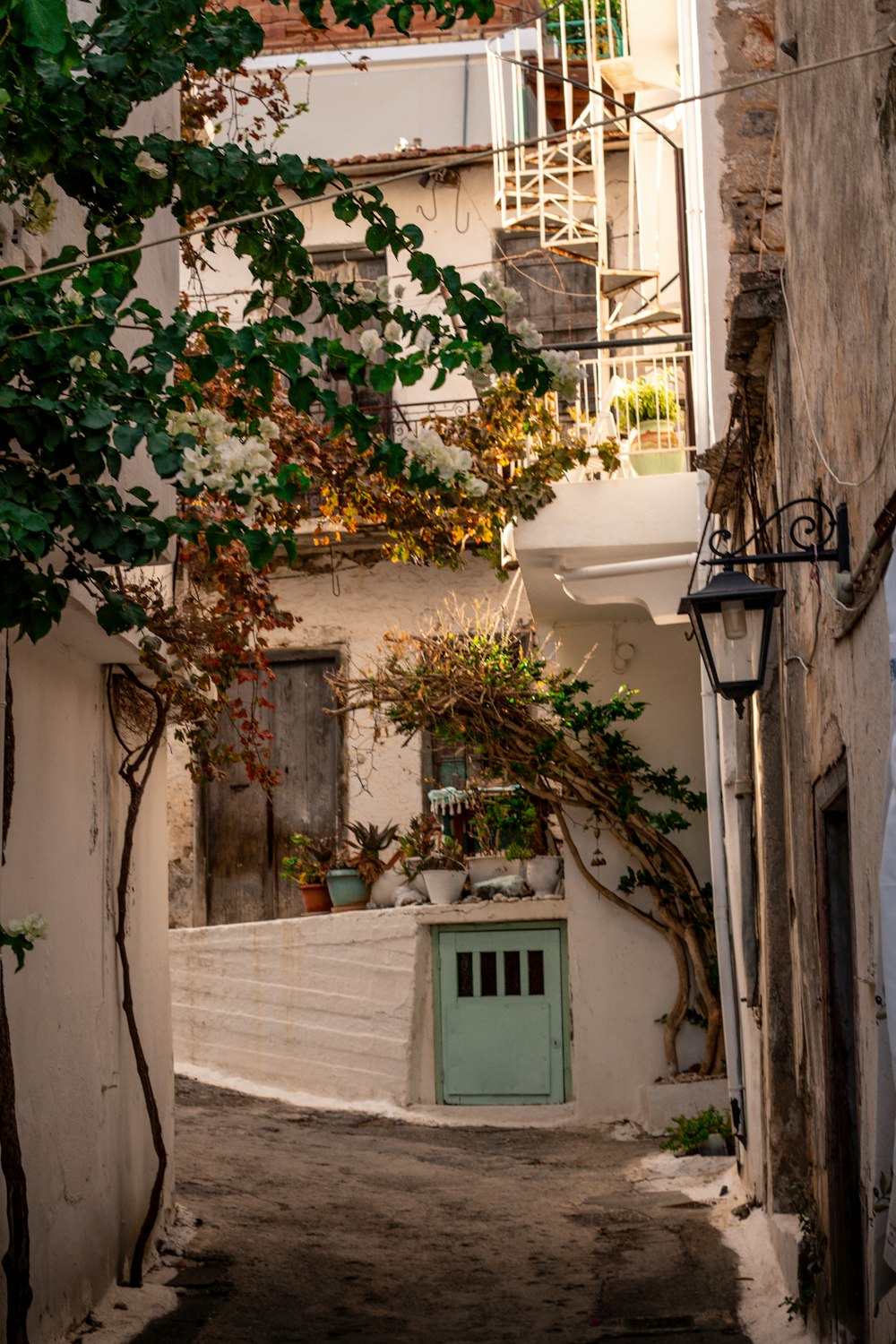 a narrow alley way with a door and a tree