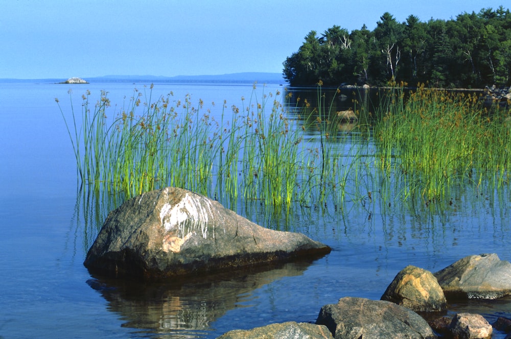 a large rock sitting in the middle of a lake