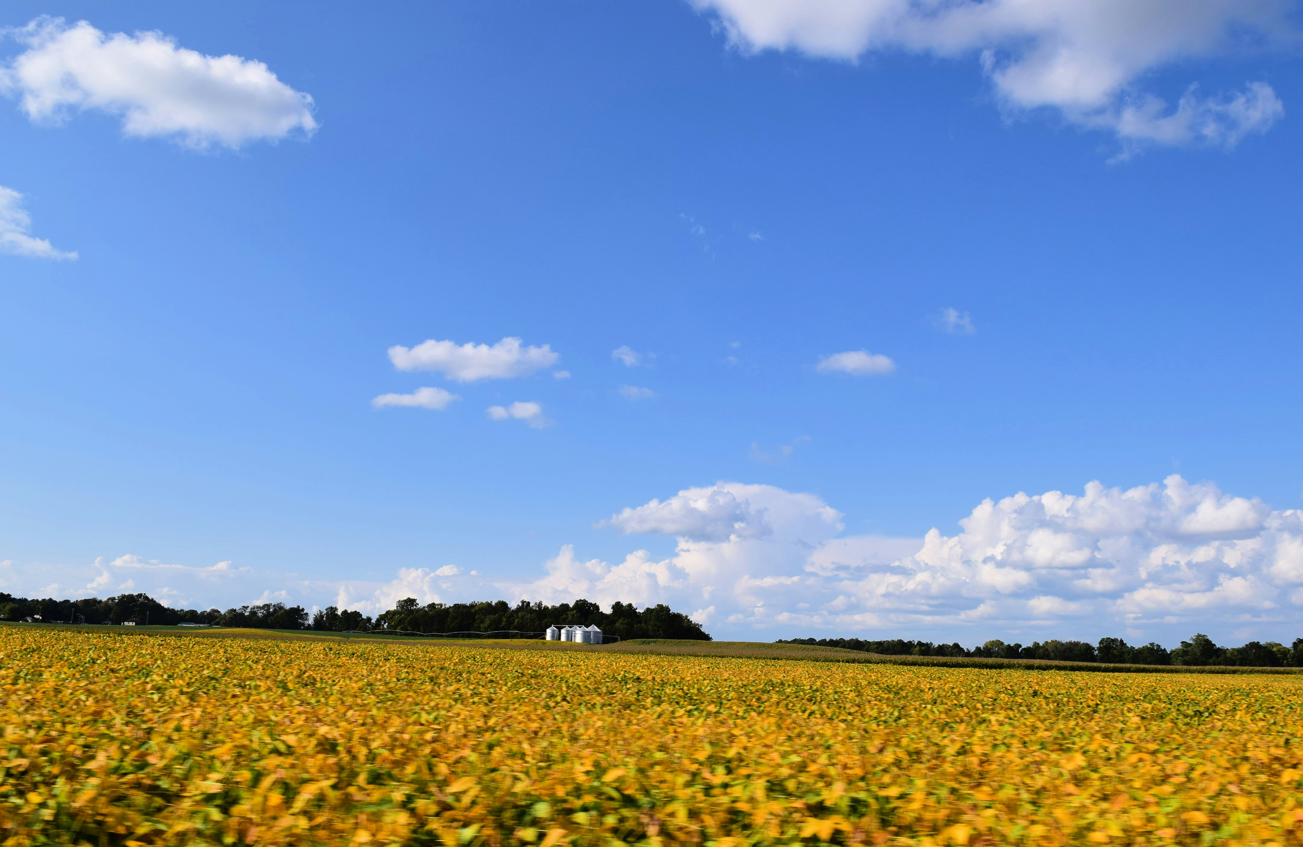 Baldezinho in the favelas