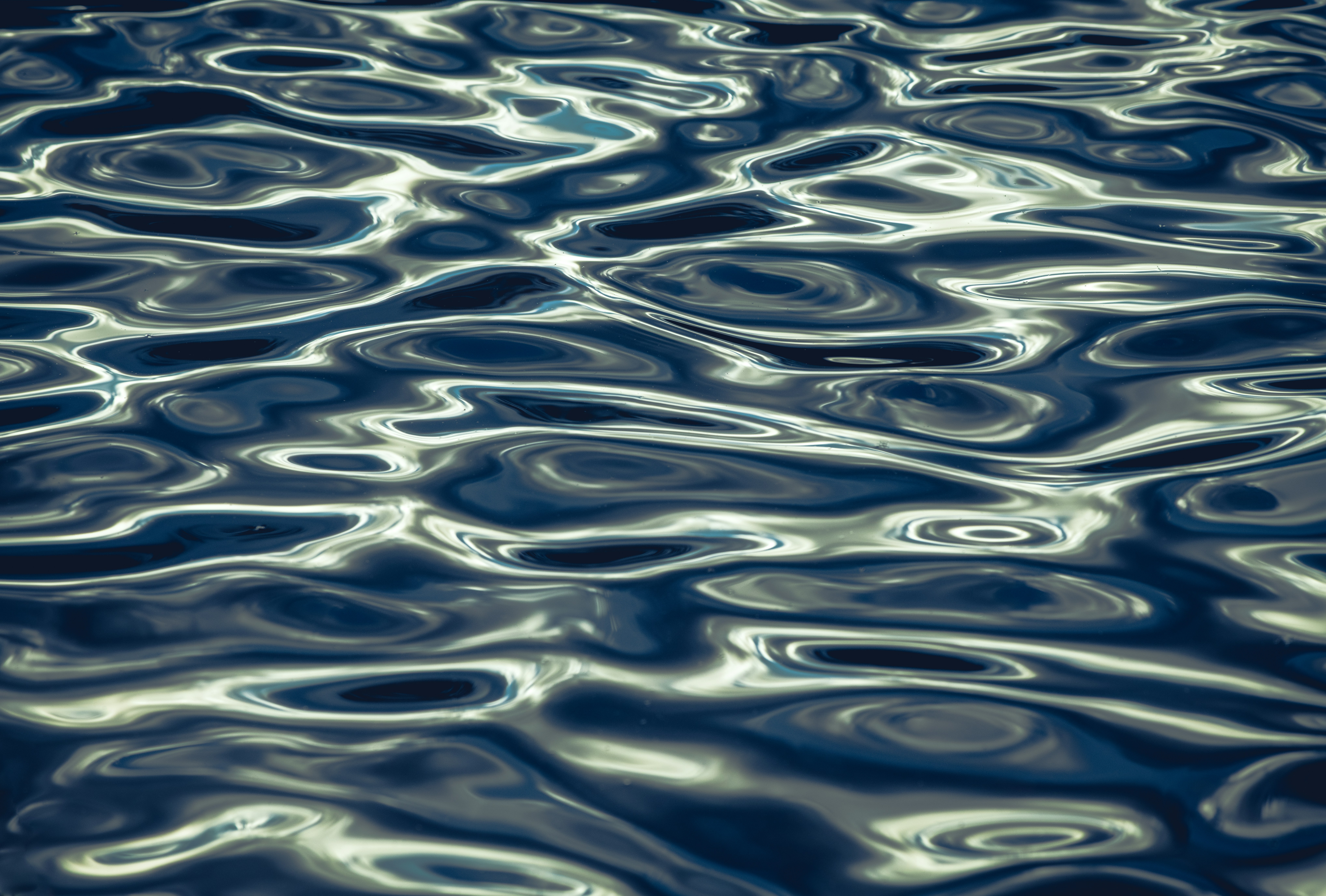 리플 10억 청산 사건 관련 이미지1