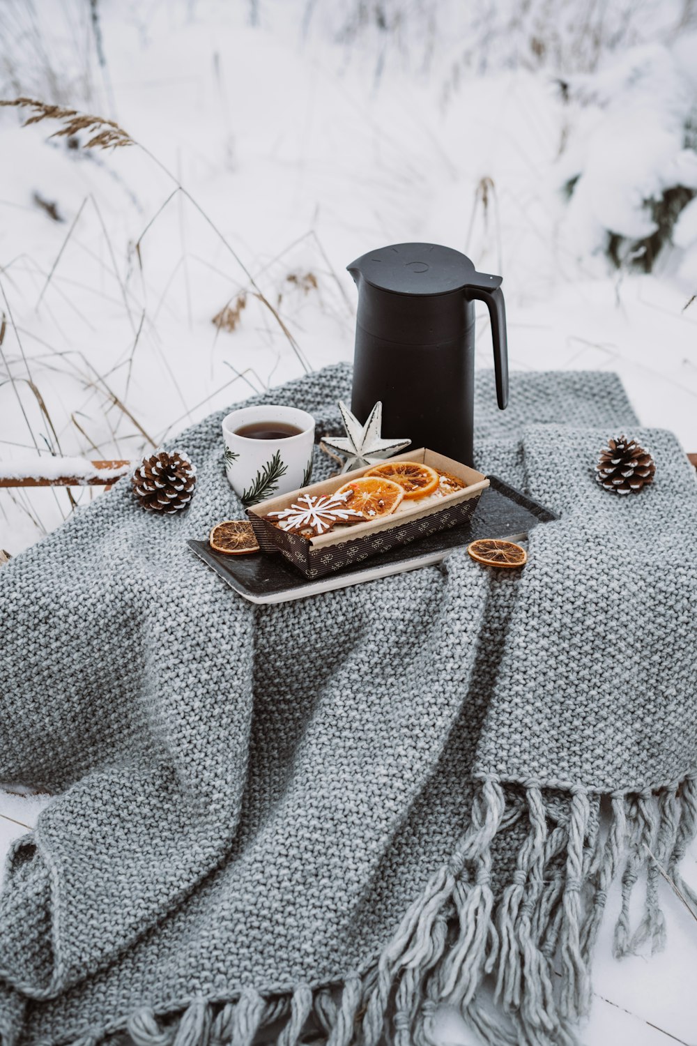 a tray of food sitting on top of a blanket