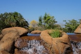 A naturalistic setting features a small waterfall cascading over rocks, surrounded by lush greenery. The scene includes palm trees and other assorted vegetation under a clear blue sky.