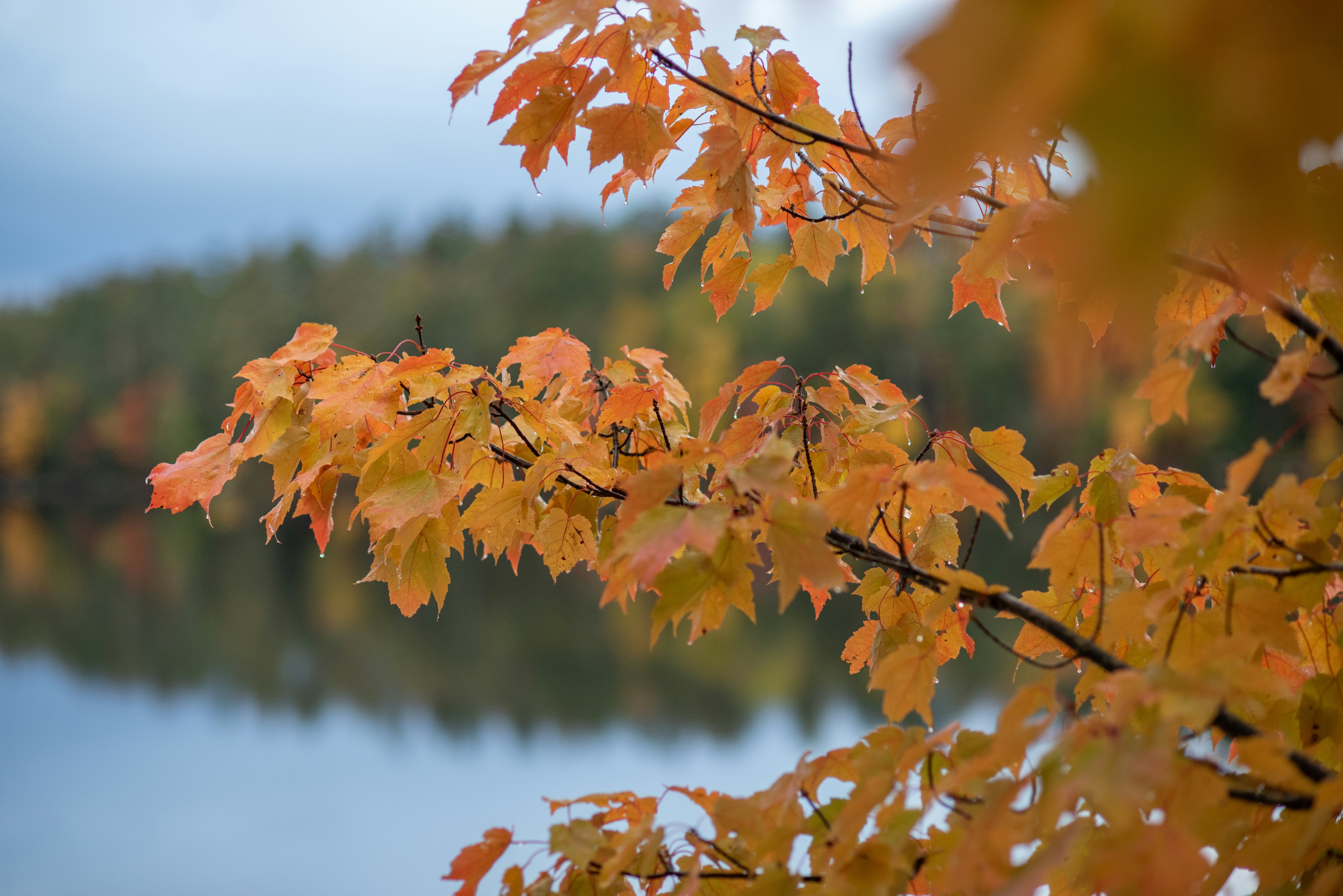 Photo by caitlinferwin