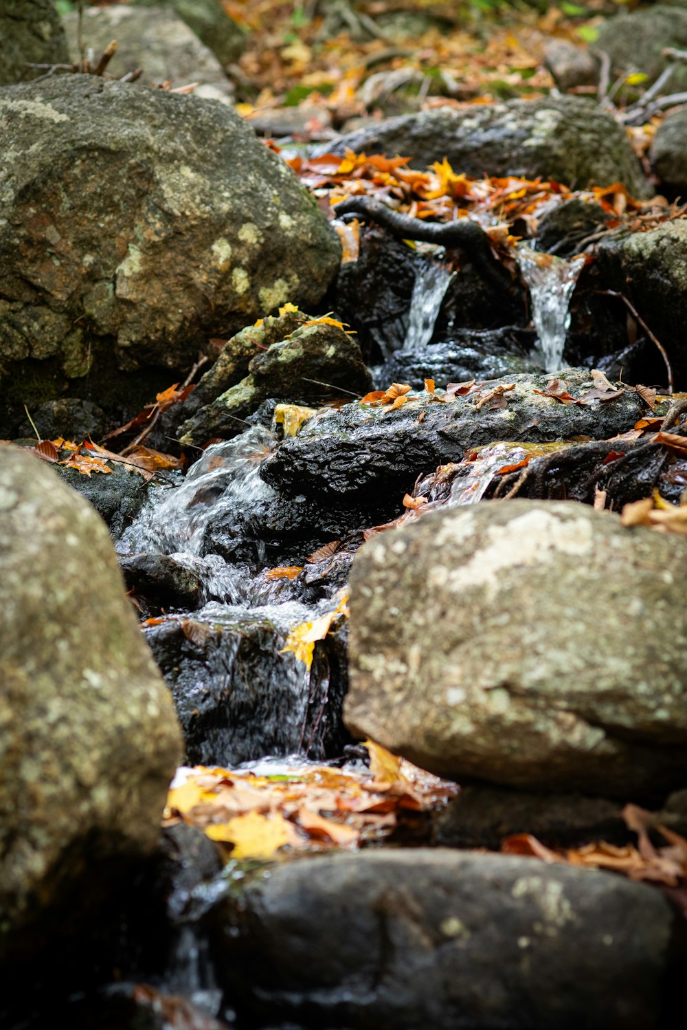 a close up of rocks and water in a stream