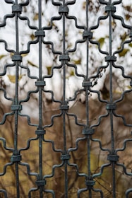 a close up of a metal fence with a tree in the background