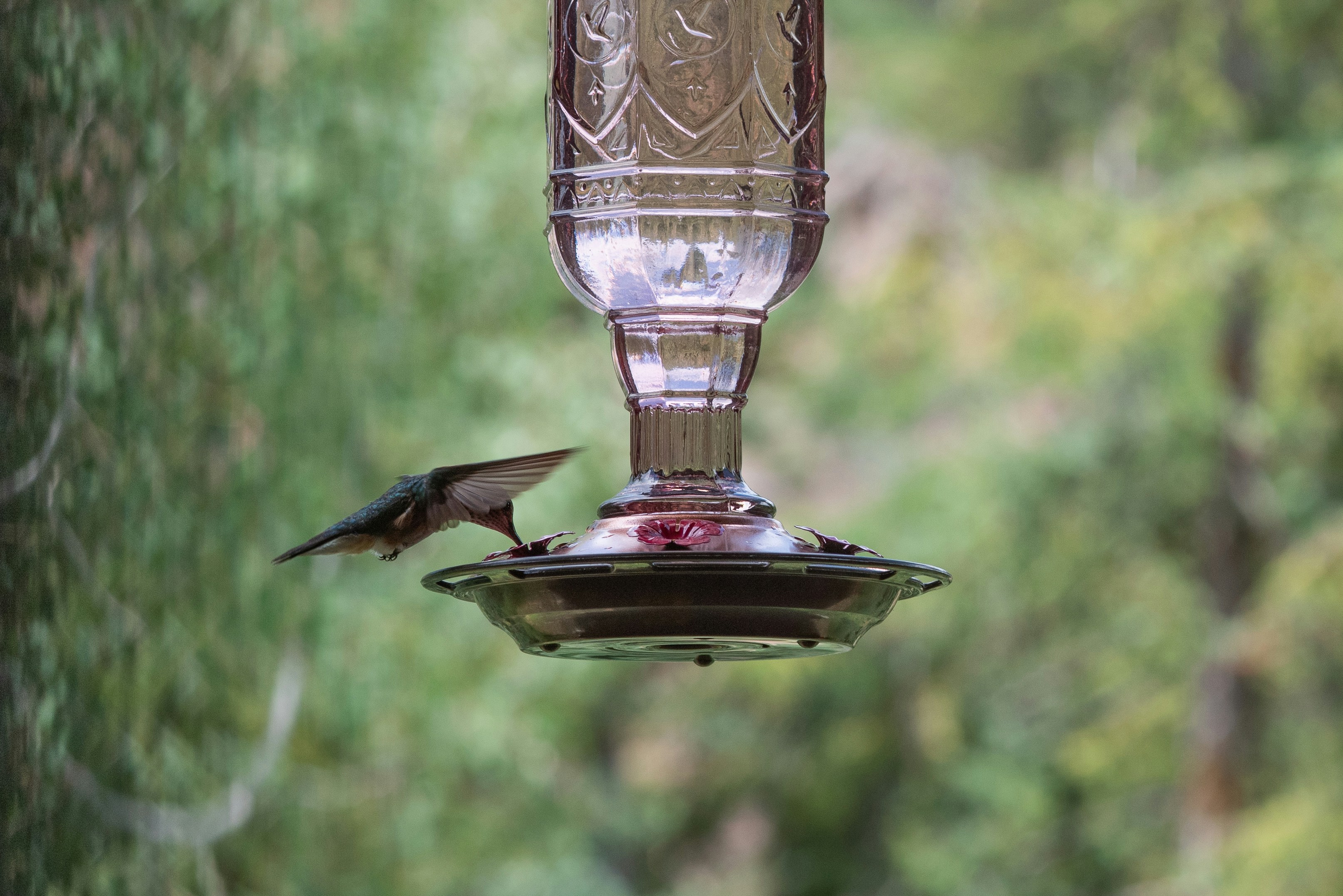 Photo by caitlinferwin