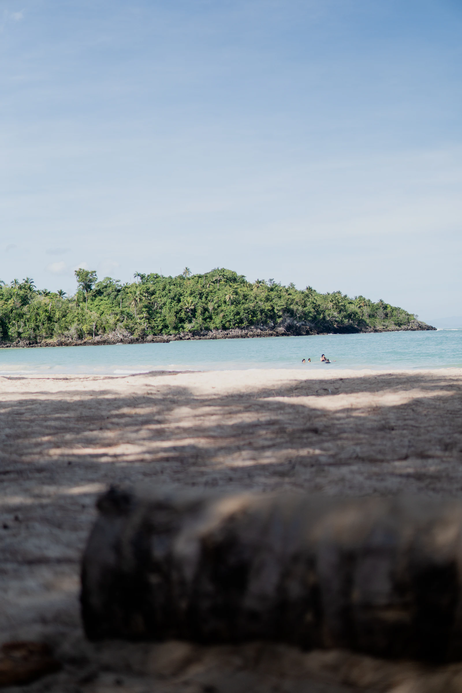 Driftwood on the sand along the Las Terrenas shoreline