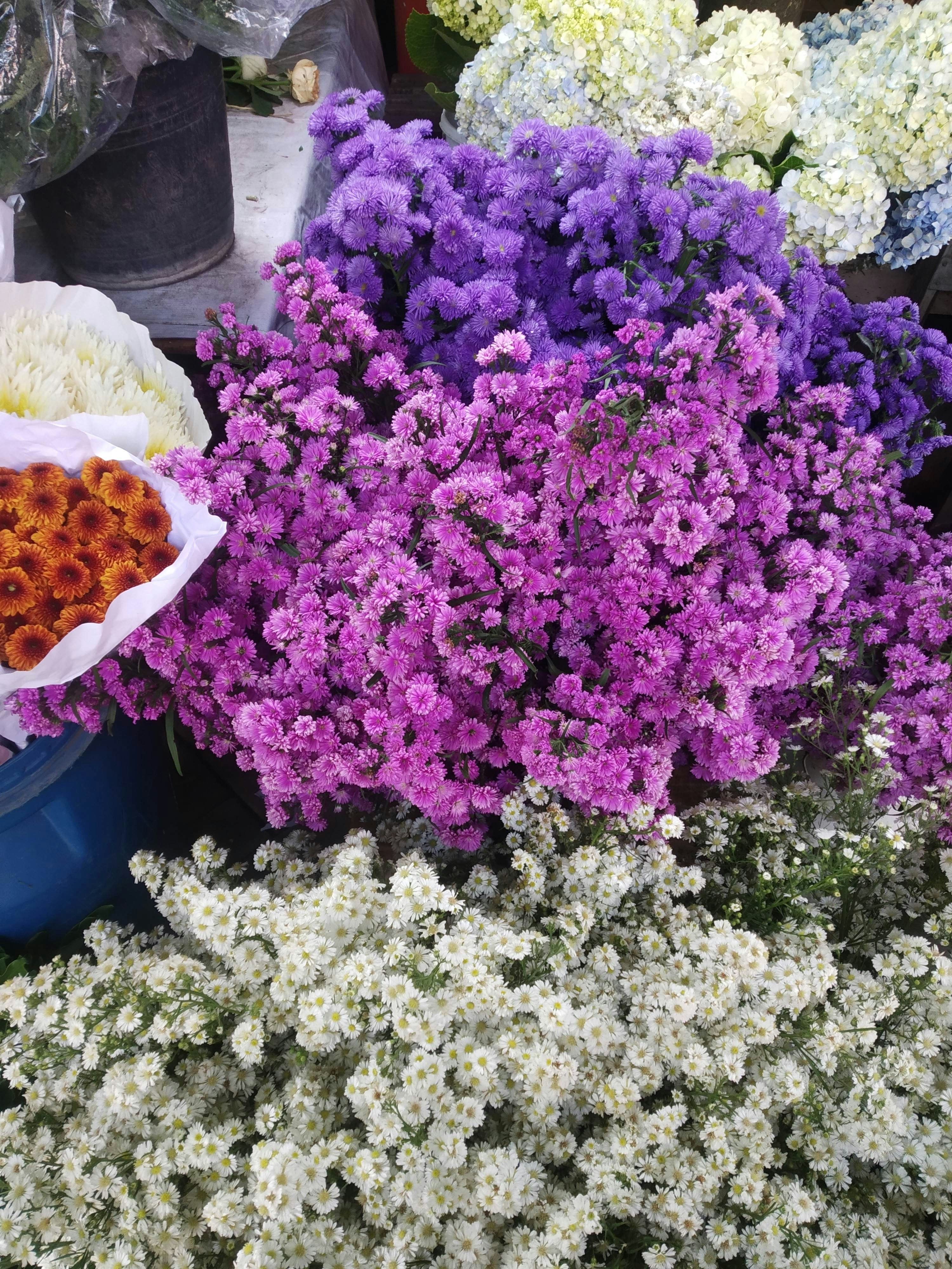 Photo by estusekarpertiwi01