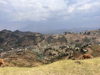 Panoramic view of the Sacred Valley’s terraced hillsides with clouds drifting above.