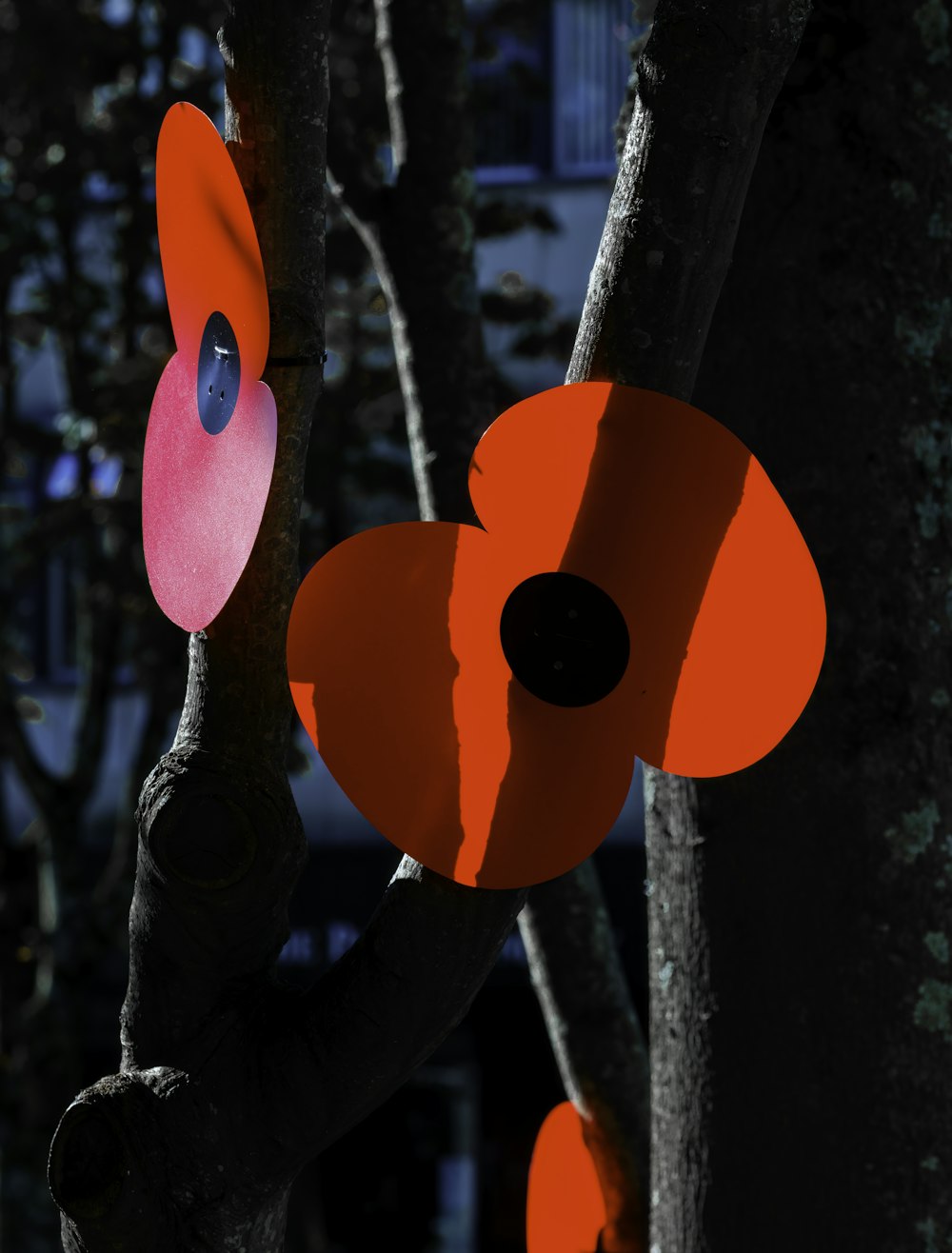 a group of red paper flowers hanging from a tree