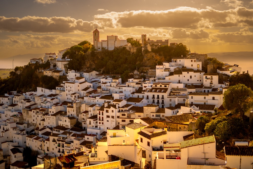 a view of a city with white buildings