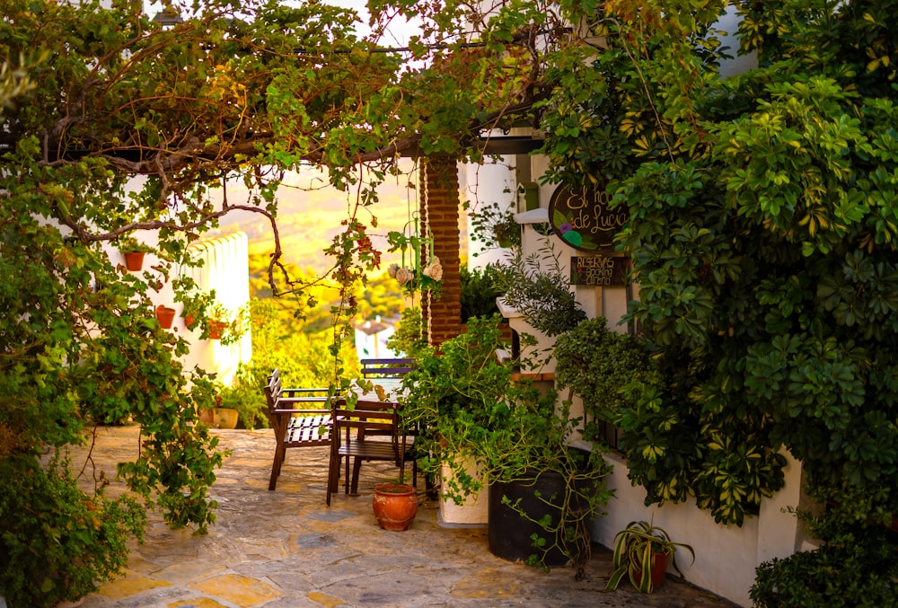 a patio with a table and chairs surrounded by greenery