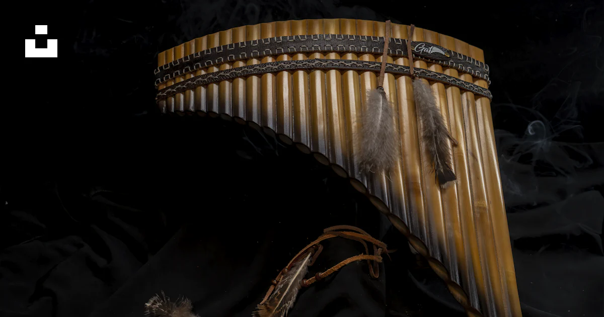 Balkan Backround Instruments Image A close up of a musical instrument on a black background photo – Free ...