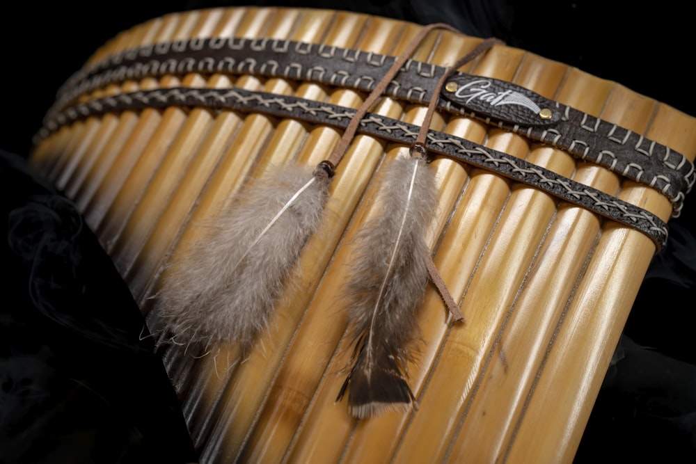 a close up of a musical instrument with feathers on it