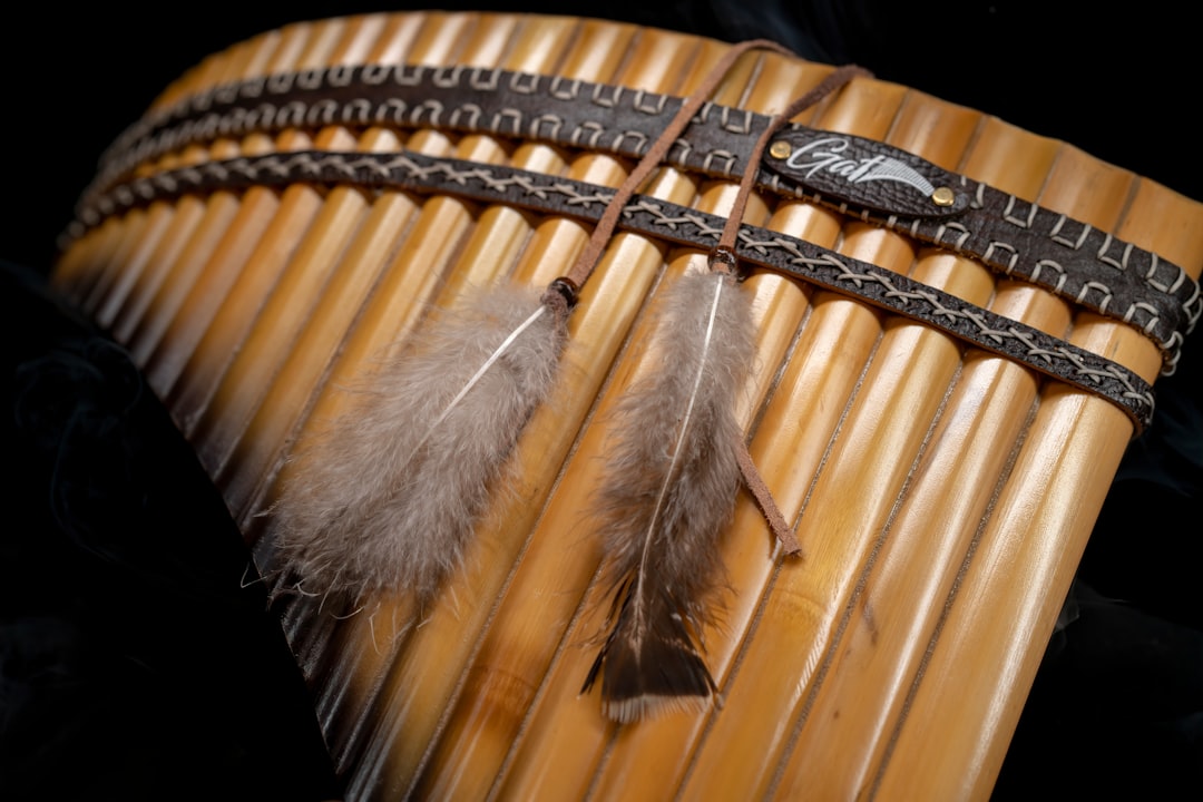 a close up of a musical instrument with feathers on it,