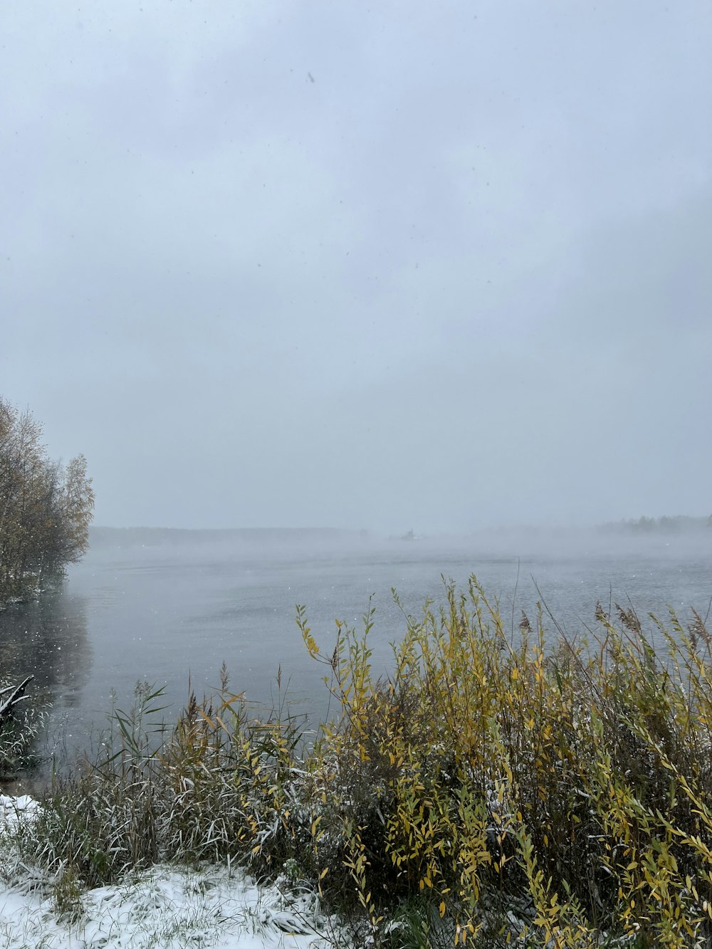 a body of water surrounded by snow covered ground