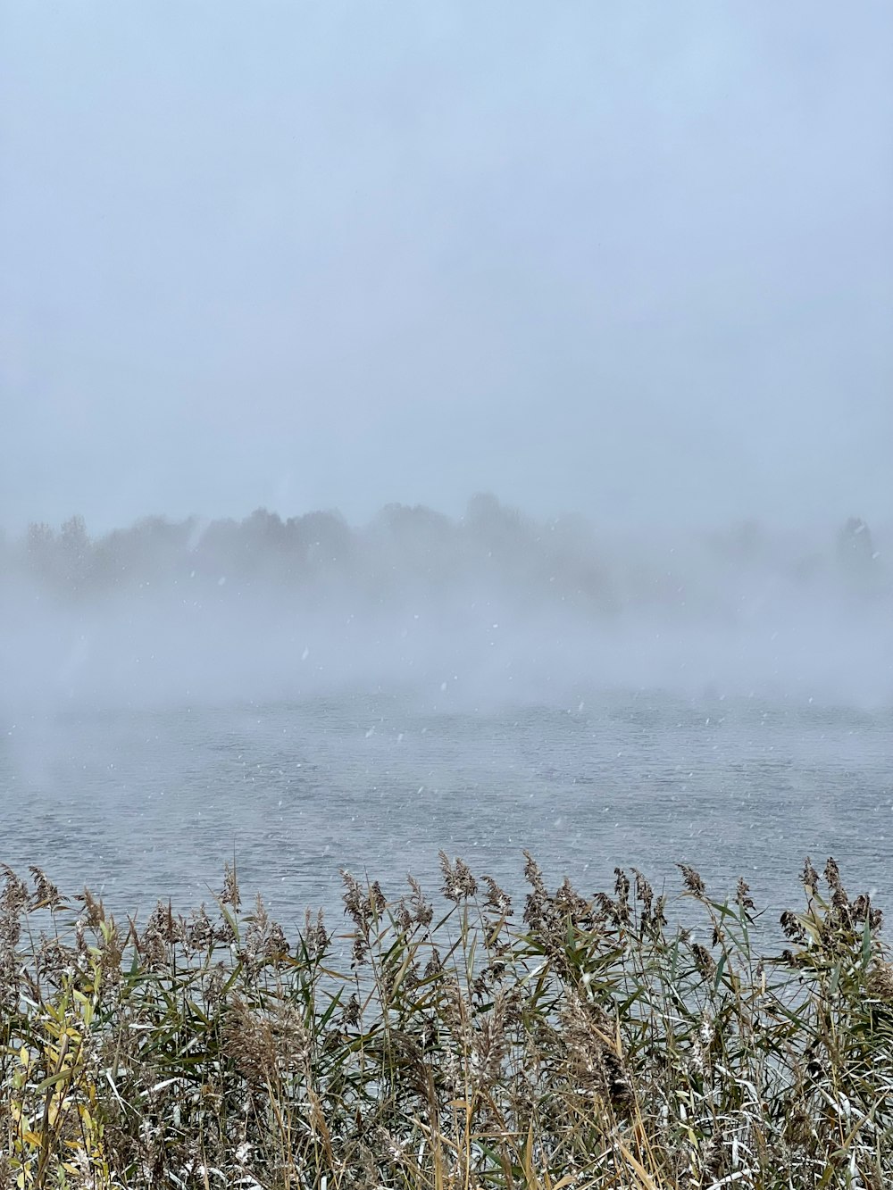 a large body of water surrounded by fog