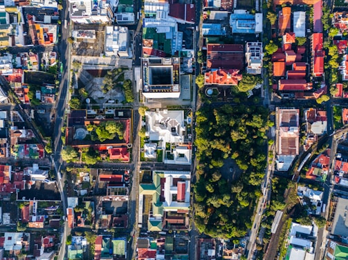 An aerial view of a city landscape with a grid-like pattern of streets. Buildings of various sizes and shapes are interspersed with green spaces and tree-lined areas. The rooftops feature a mix of colors, including red, green, and white. A large park or forested area is visible in the center-right area, providing a contrast to the urban layout.