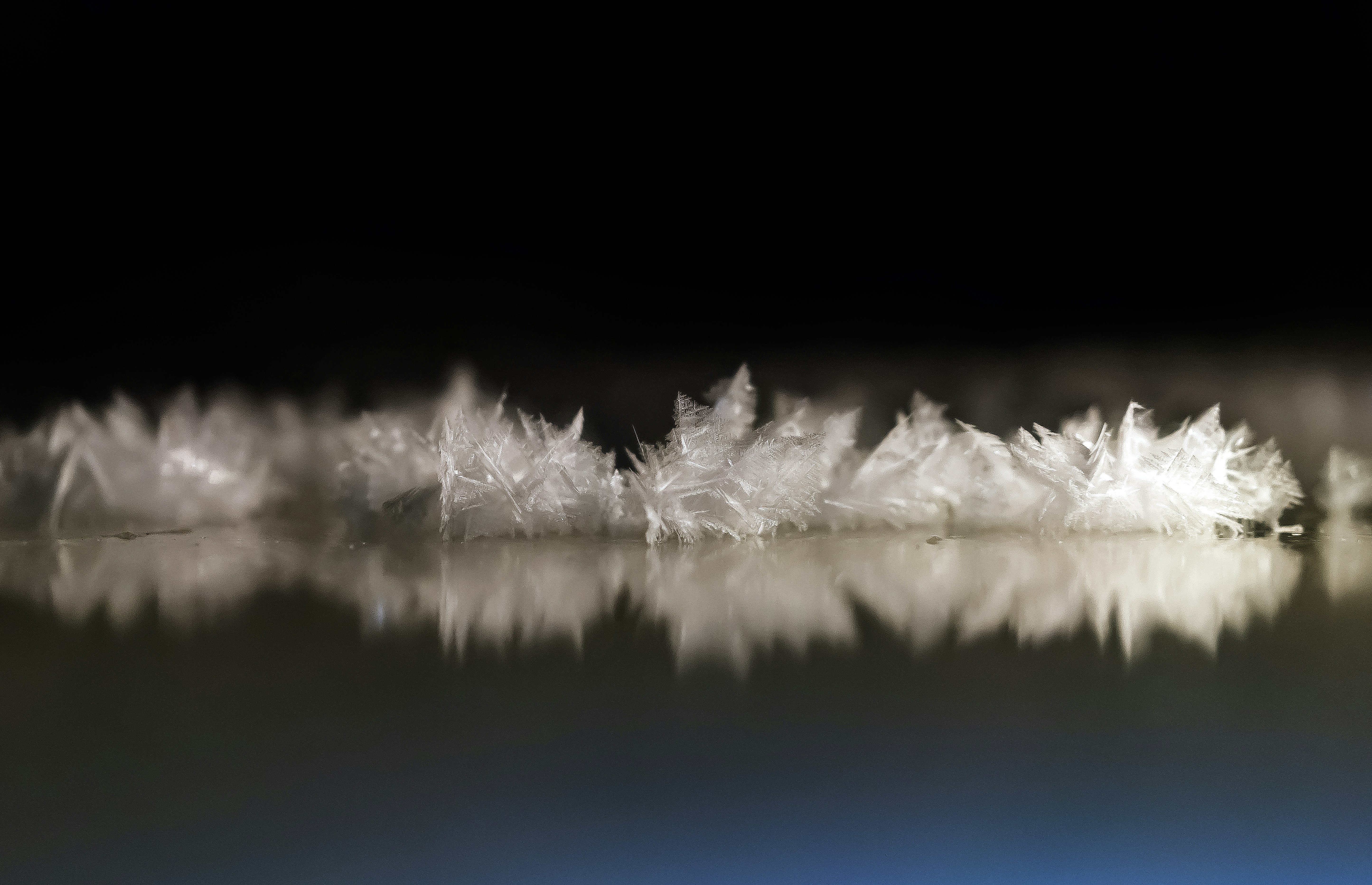 une photo en noir et blanc de flocons de neige