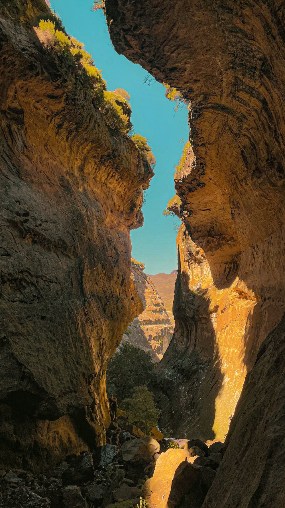 a narrow canyon with a river running through it