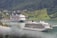 Two large cruise ships are sailing through a serene fjord surrounded by lush green hills and small houses perched on the slopes. The water is calm, reflecting the overcast sky. The scene is tranquil, with the natural beauty of the landscape contrasting with the modern vessels.