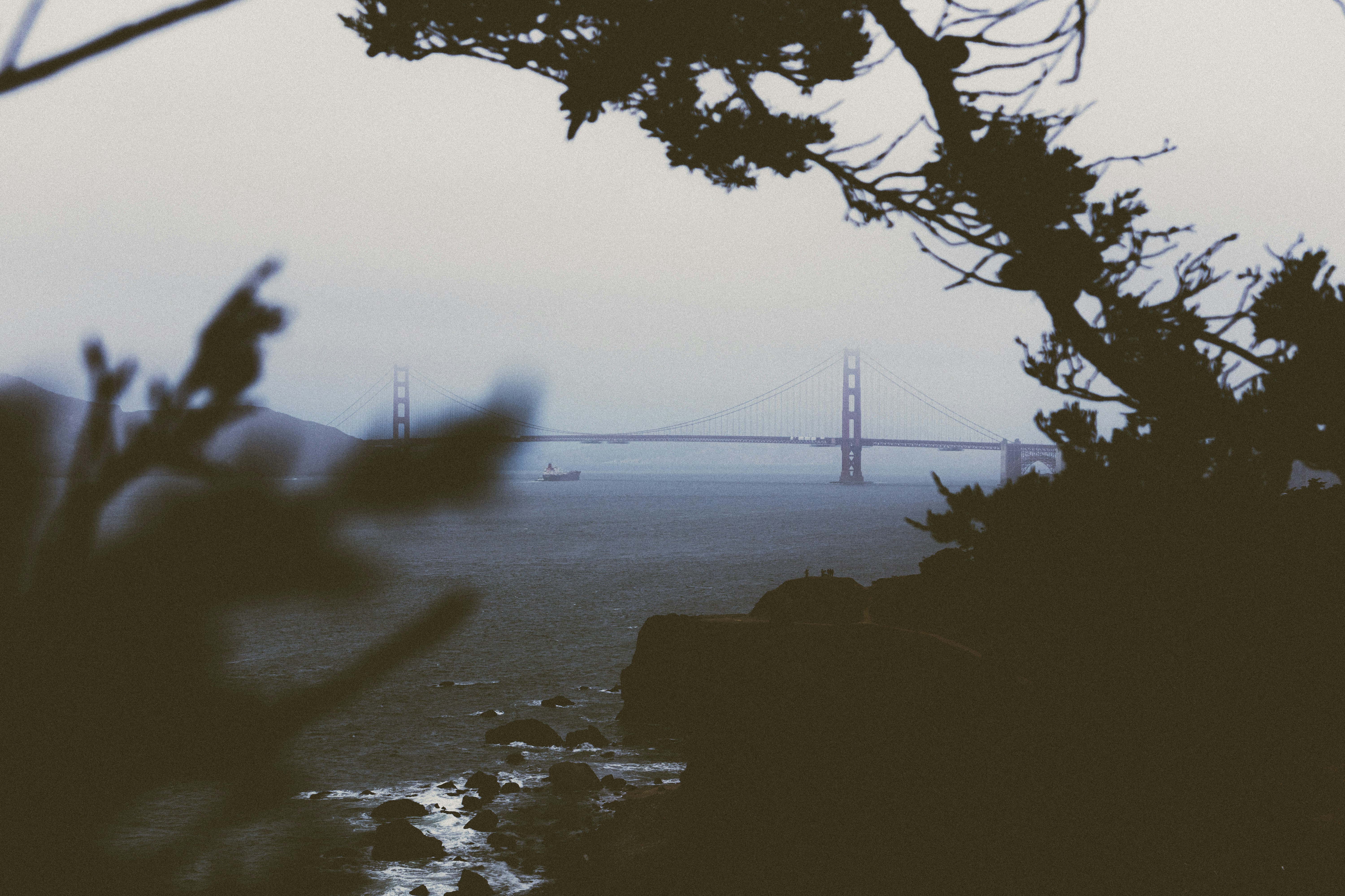 Photo by lowmurmer