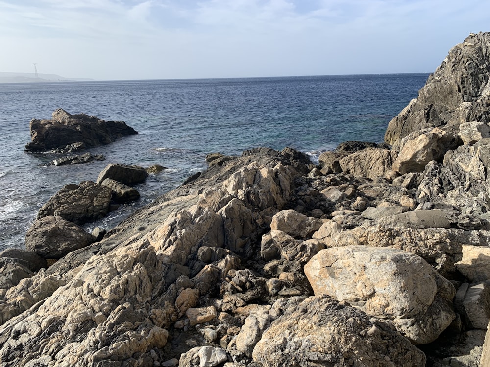 a rocky shore with a body of water in the background