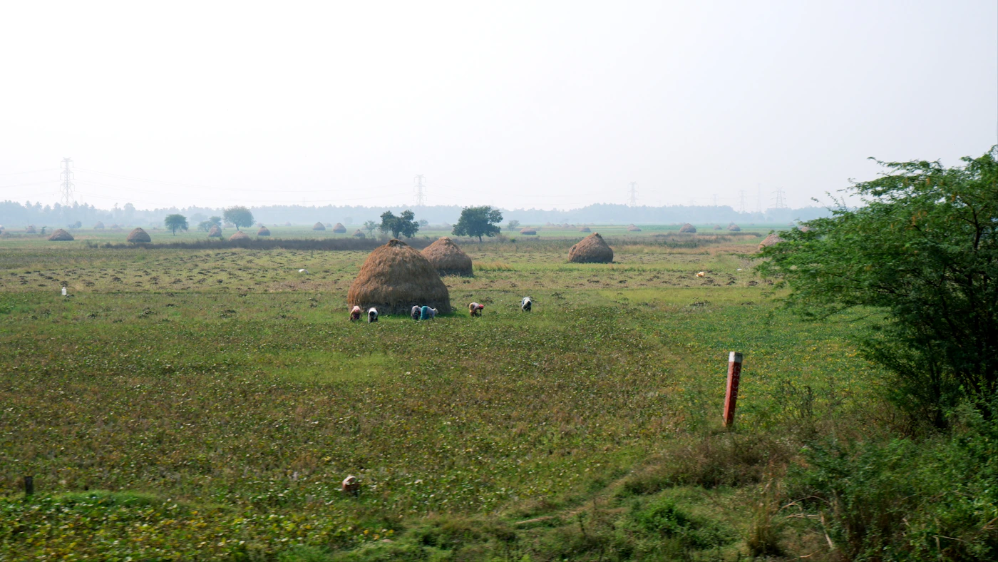 People working together during a rural farming activity