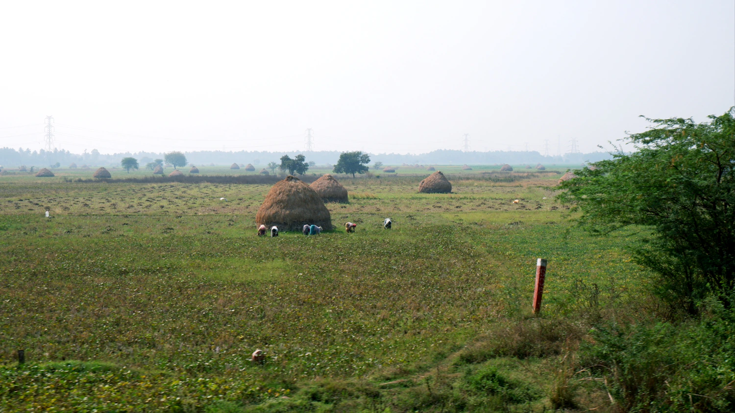 Rural community members working together in a local development initiative