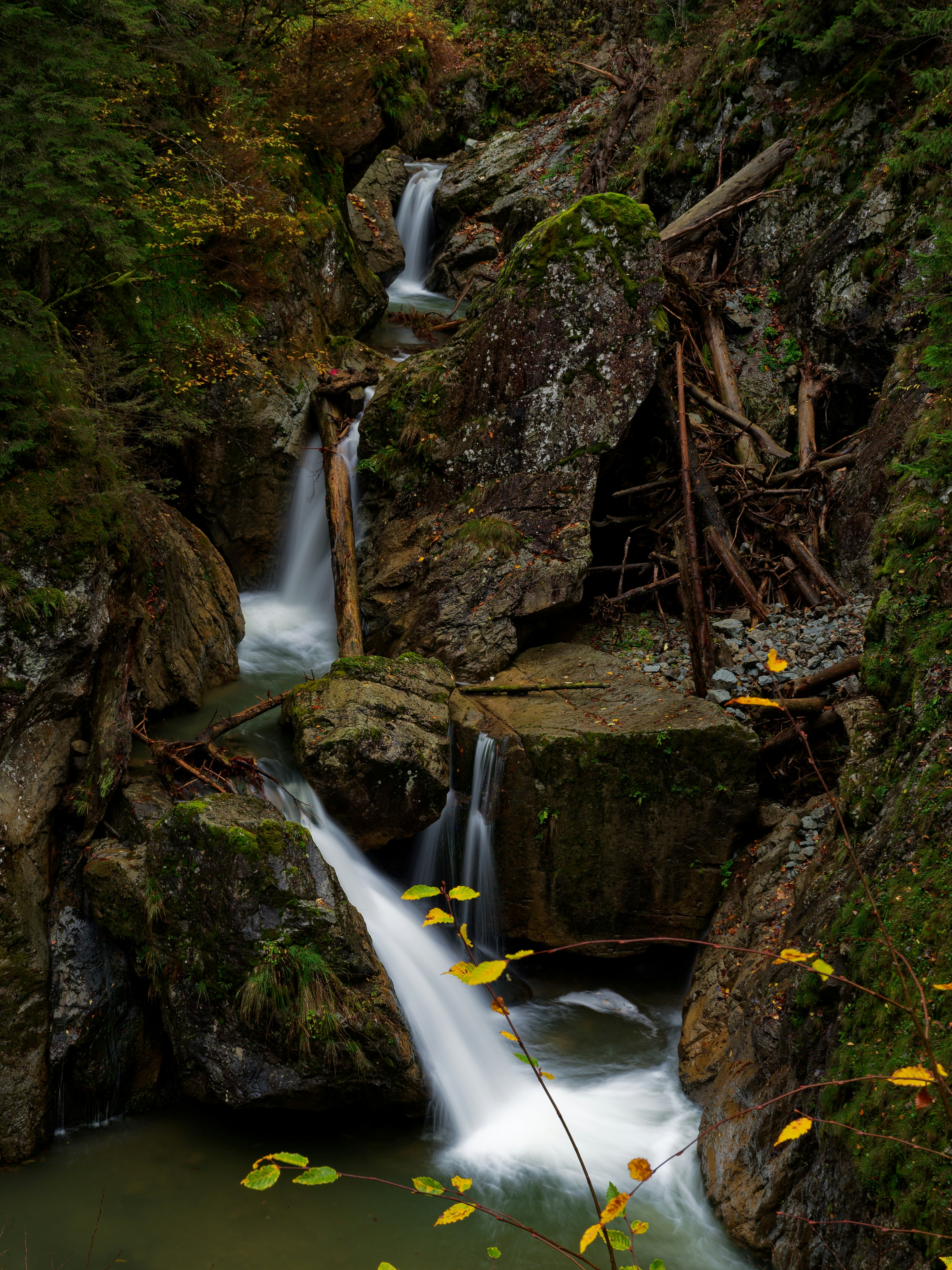 Photo by illes_cristi