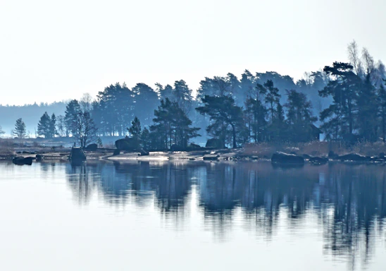 A serene lakeside scene in northern Minnesota with gentle ripples and pine trees under soft morning light.