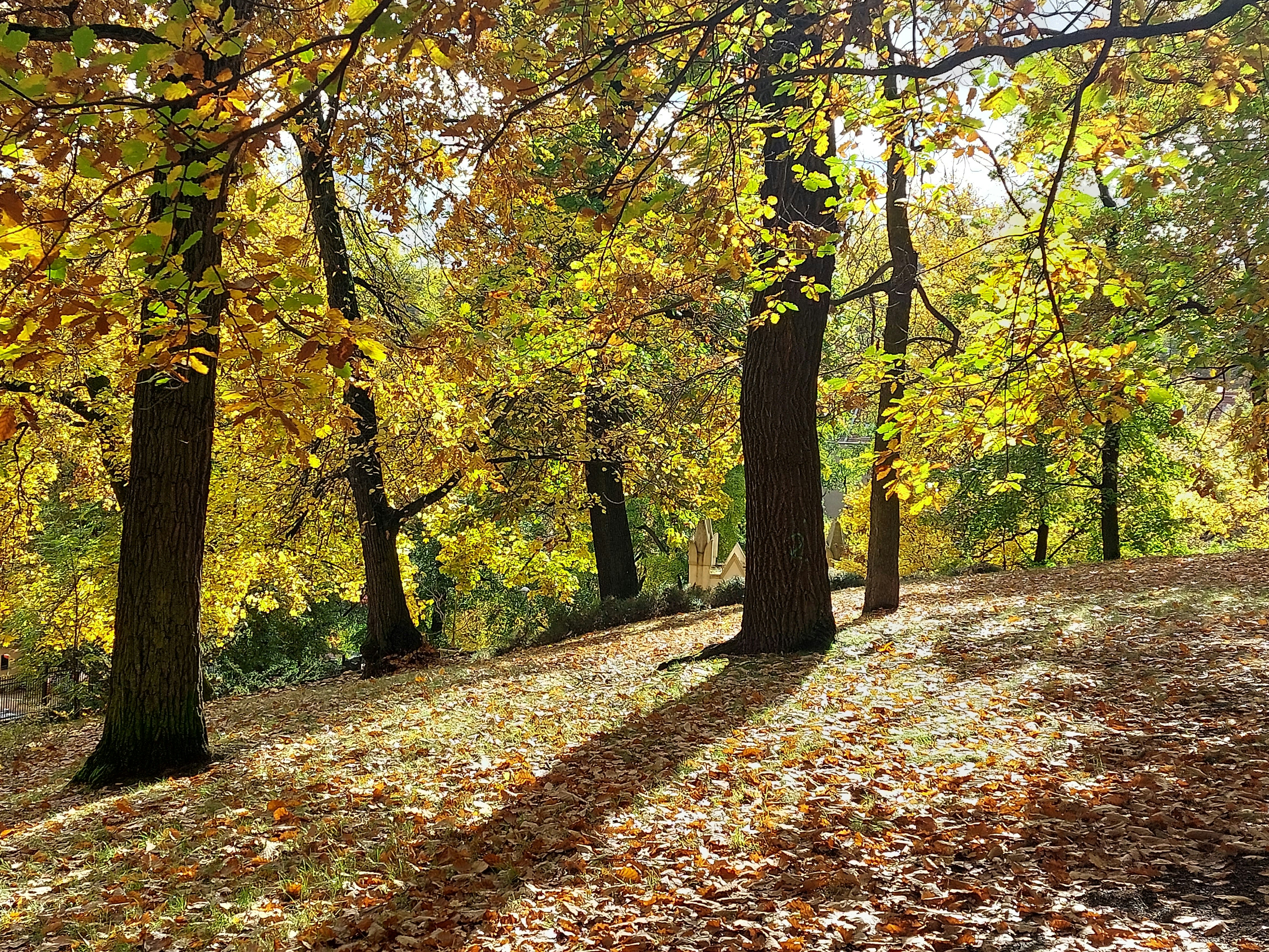 Photo by purple_iris